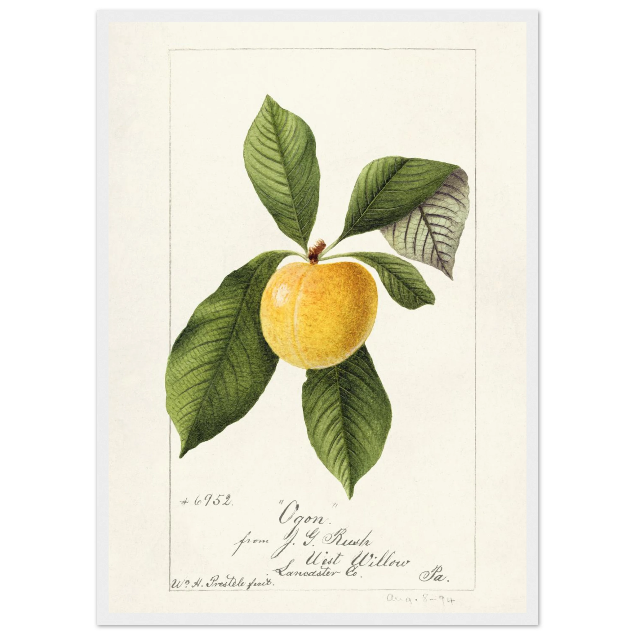 ffb3fc1a-53b3-470b-b311-7b1184ec9c6e