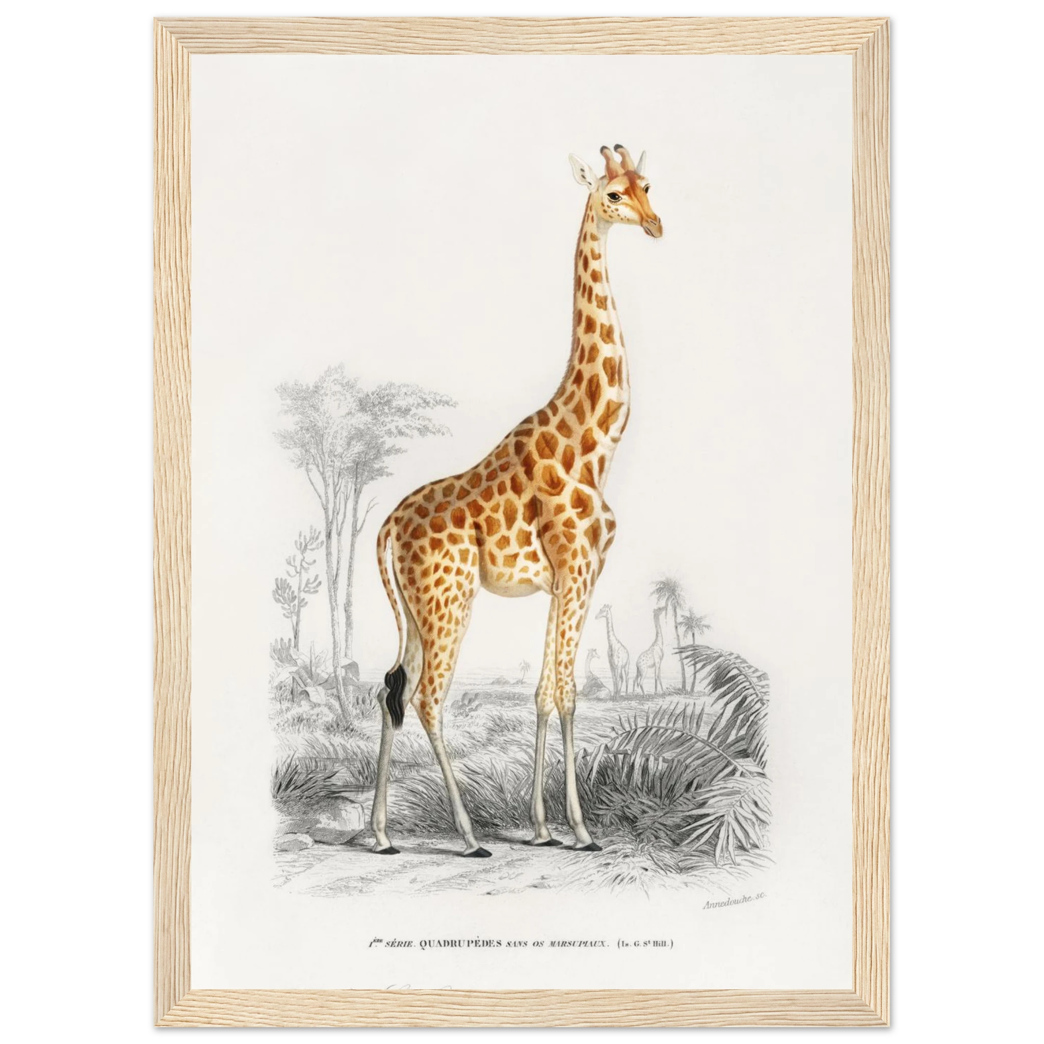 fffd7415-45ae-458b-9e13-17de4946796f