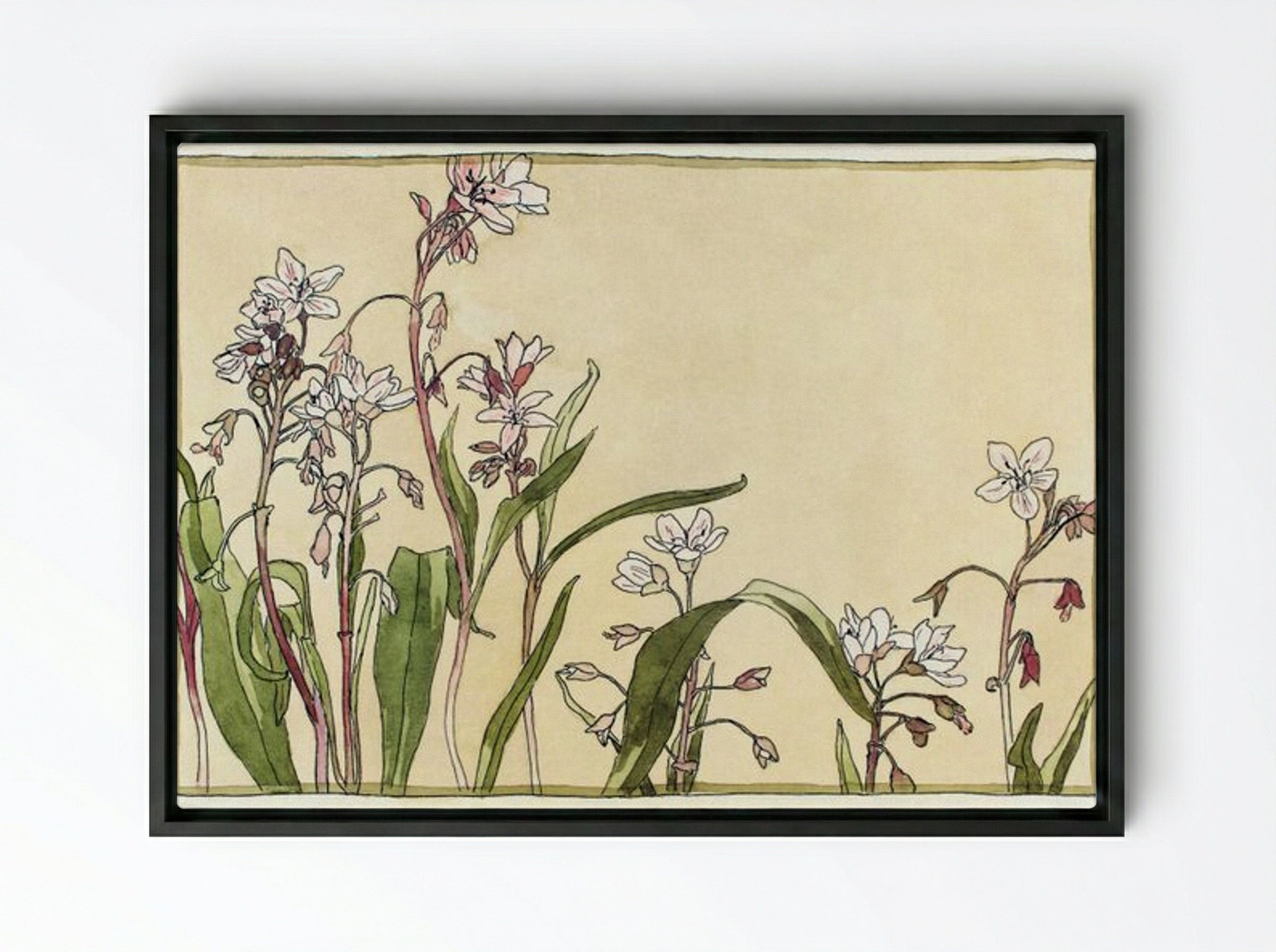 Spring Beauty - Hannah Borger Overbeck - Framed Canvas Black
