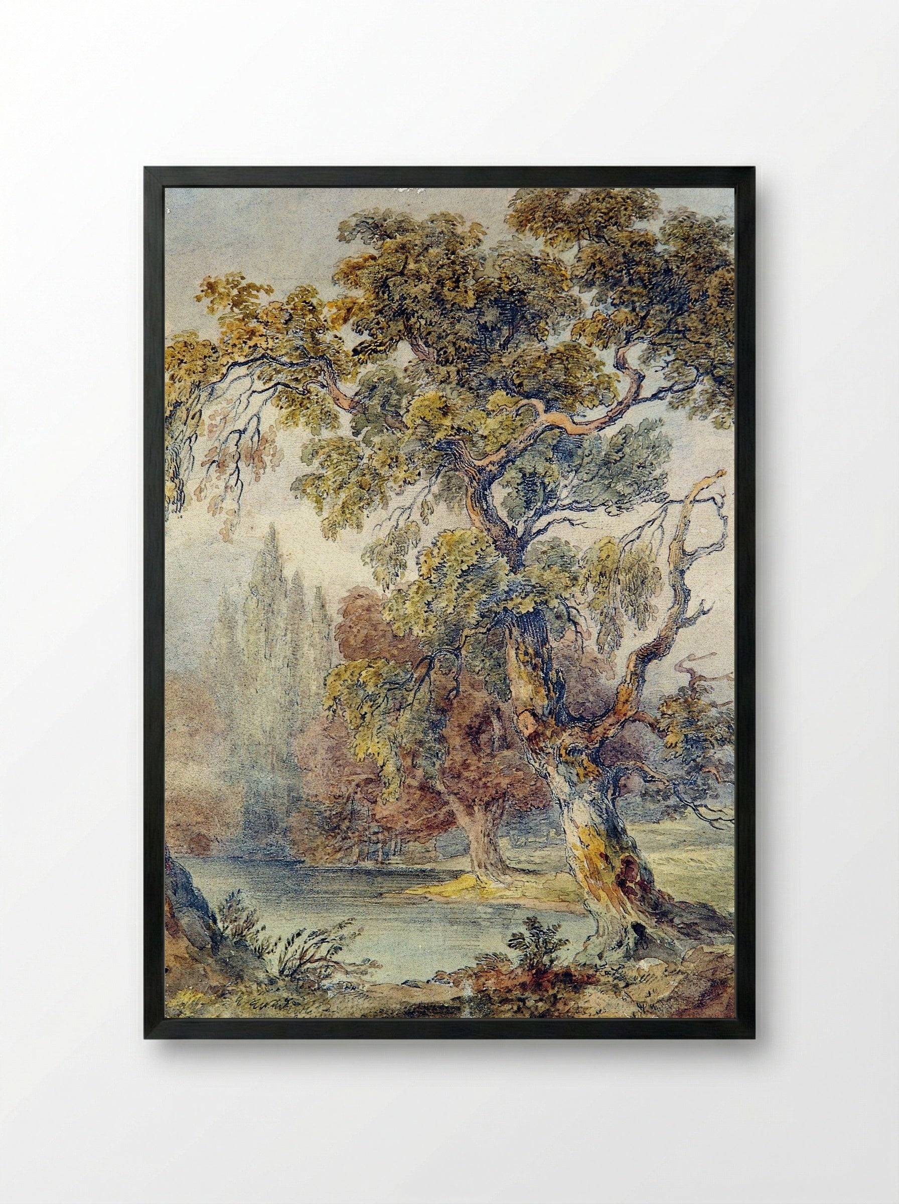 Trees and Pond - Fine Art Print - Framed Print Black