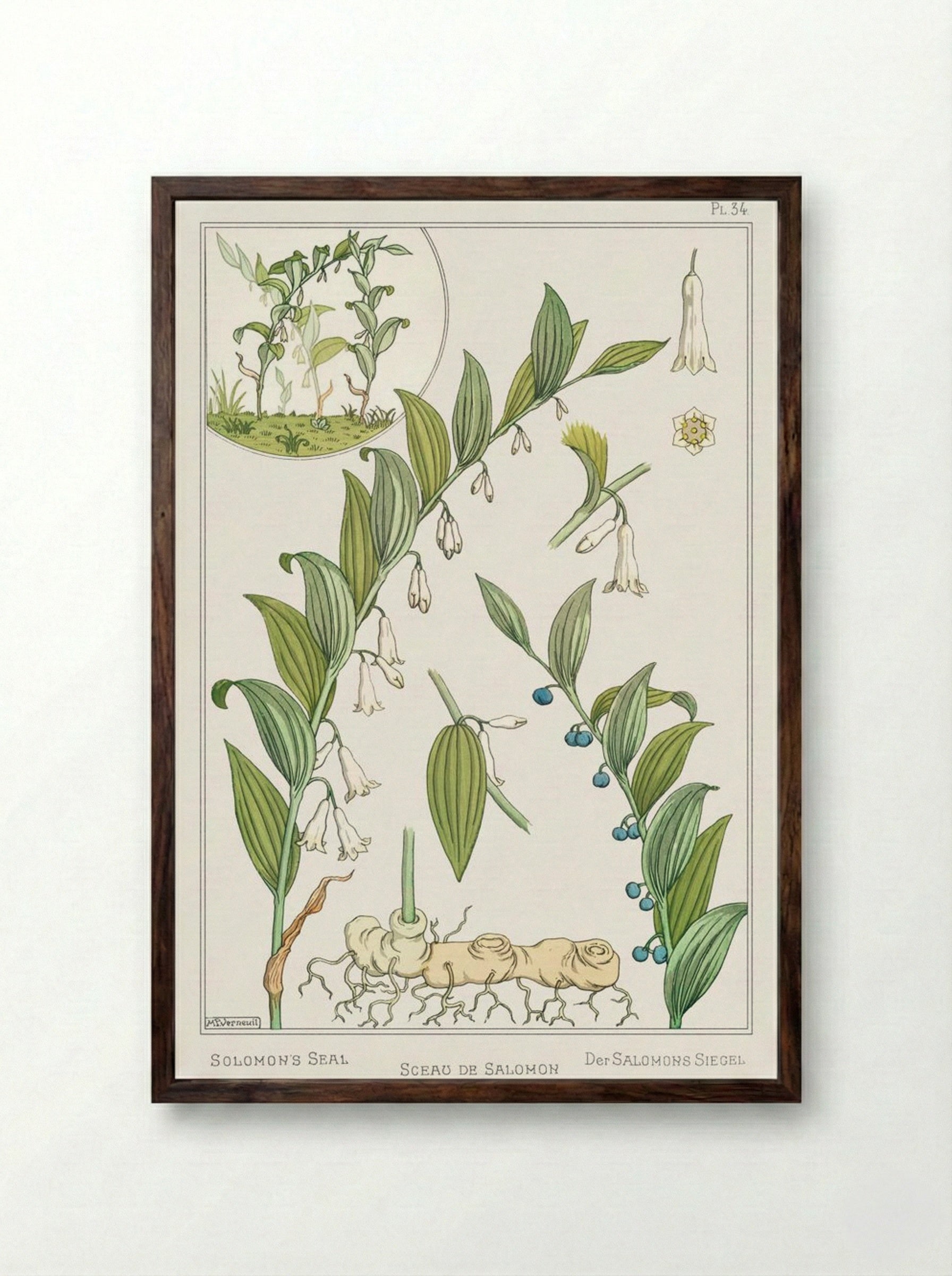 Sceau de Salomon (Solomon's Seal) - Maurice Pillard Verneuil - Framed Print Dark Wood