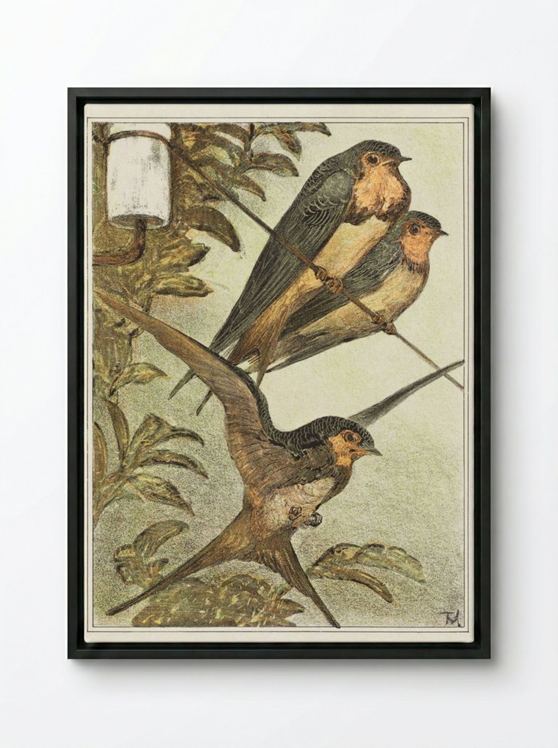 Drie zwaluwen (Three Swallows) - Theo van Hoytema - Framed Canvas Black