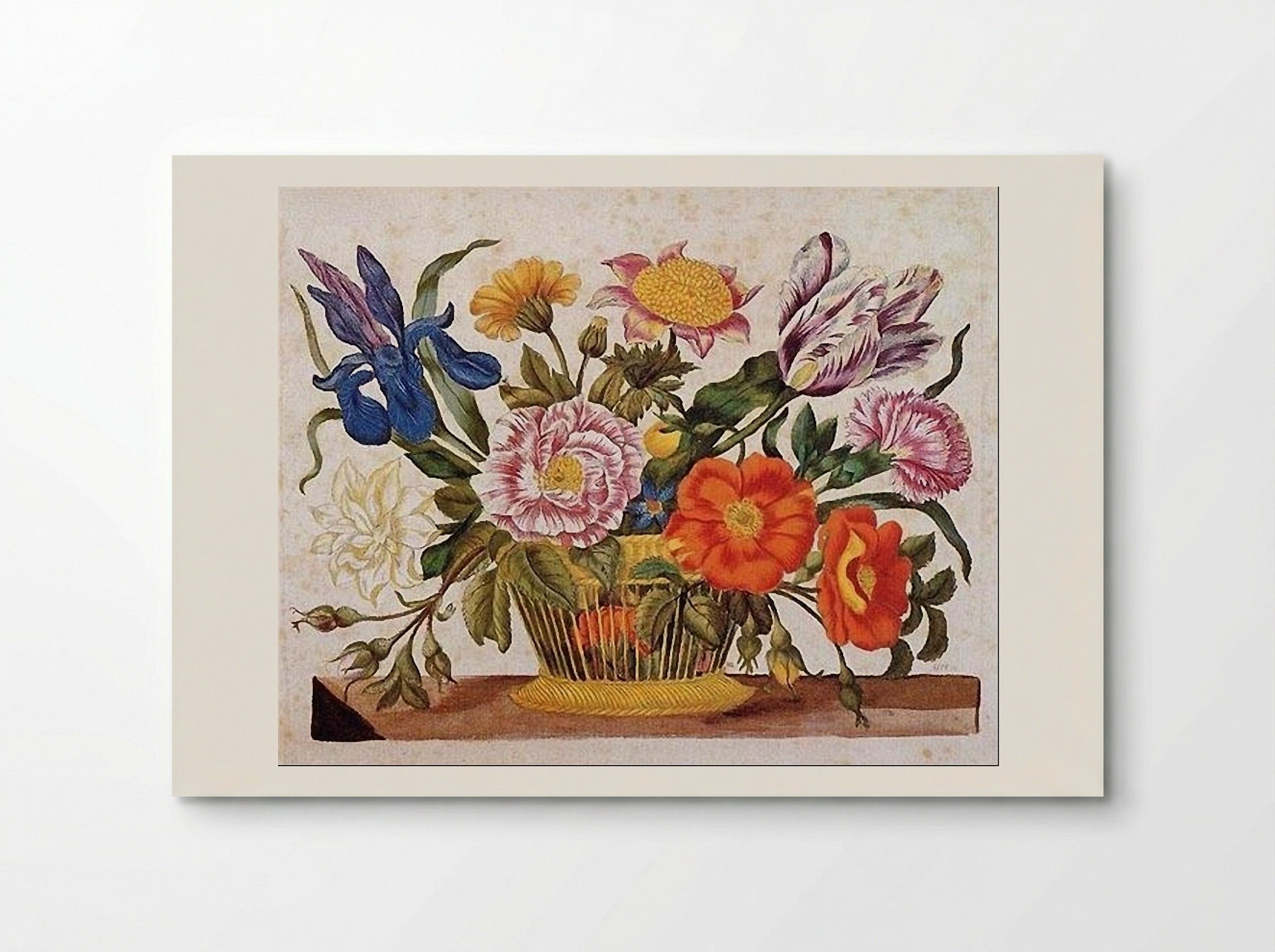 from Der Raupen wunderbare Verwandlung und sonderbare Blumennahrung, Plate CLXIX - Maria Sibylla Merian - Poster