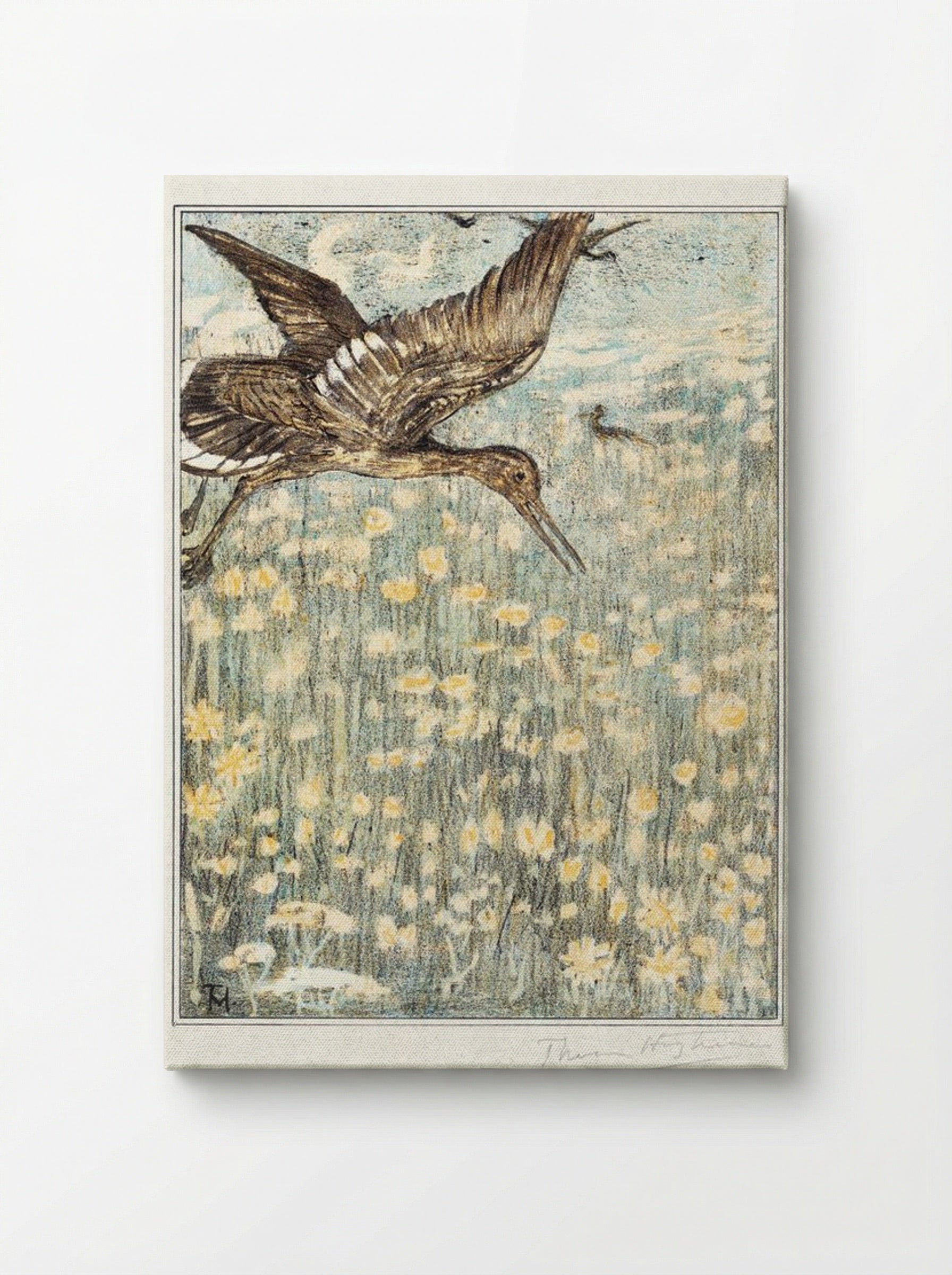 Tureluur (Redshank) - Theo van Hoytema - Canvas