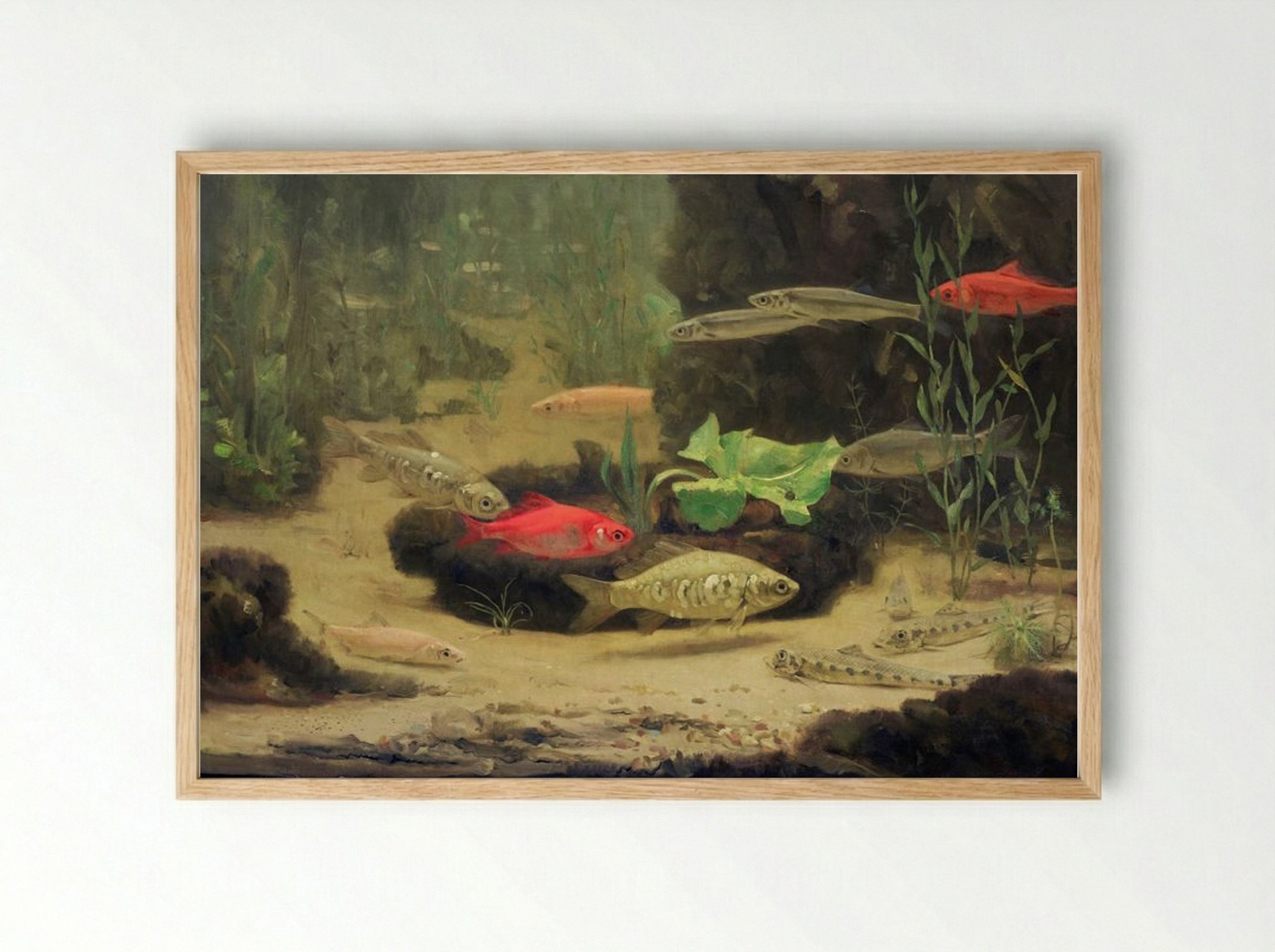 Gold and Silverfish in an Aquarium - Gerrit Willem Dijsselhof - Framed Print Wood