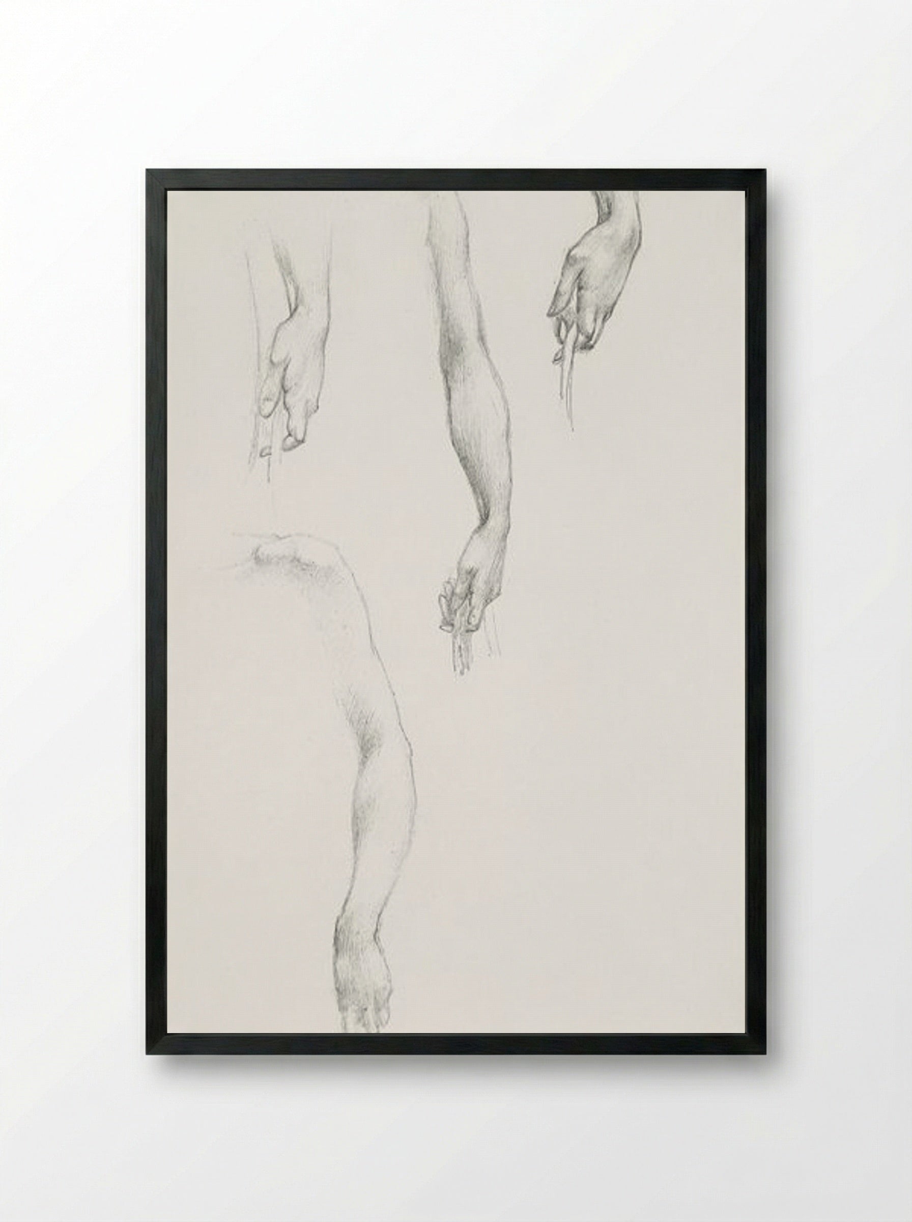 Studies of Arms and Hands - Edward Burne-Jones - Framed Print Black