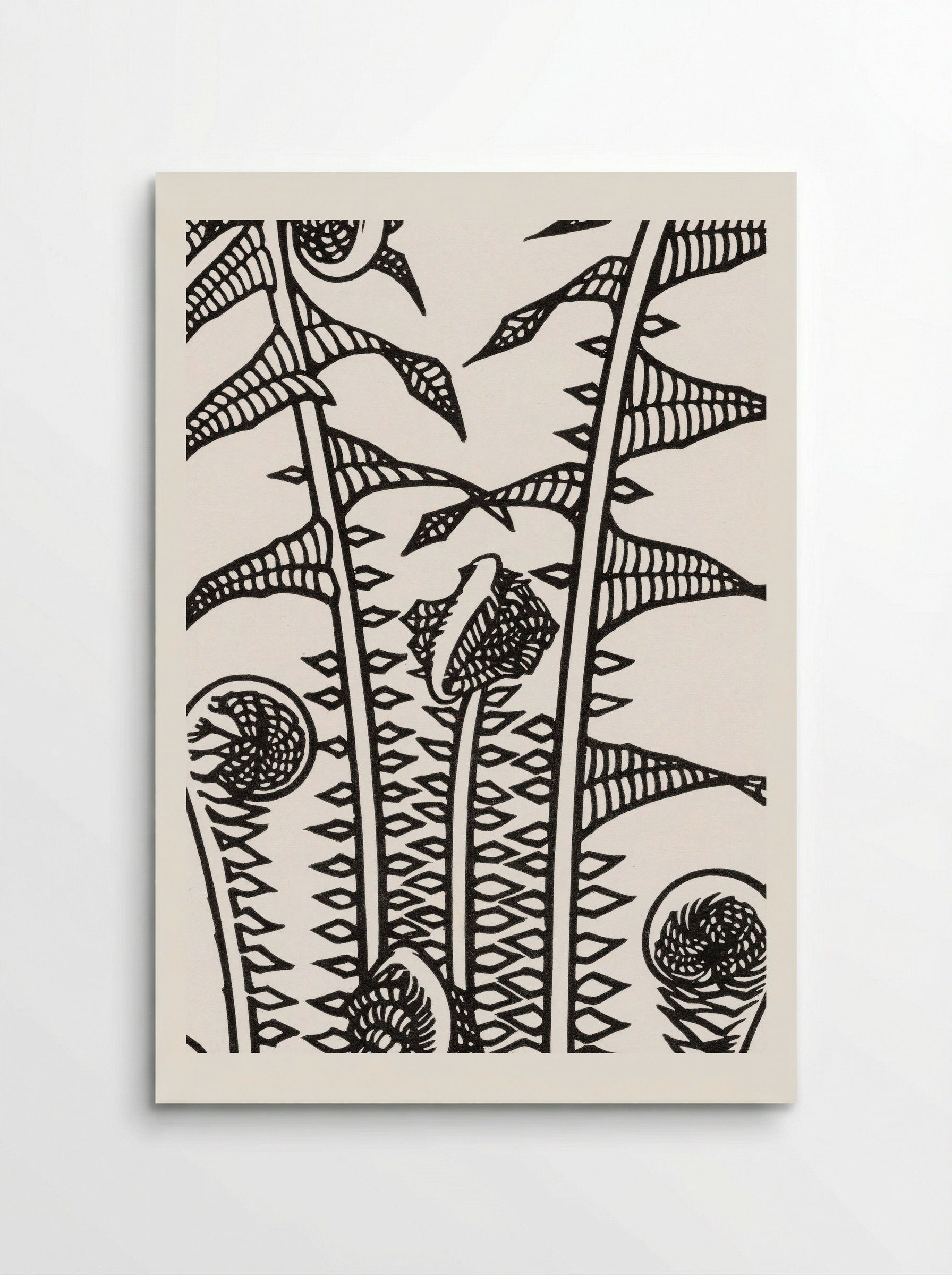 Ferns - Julie de Graag - Poster