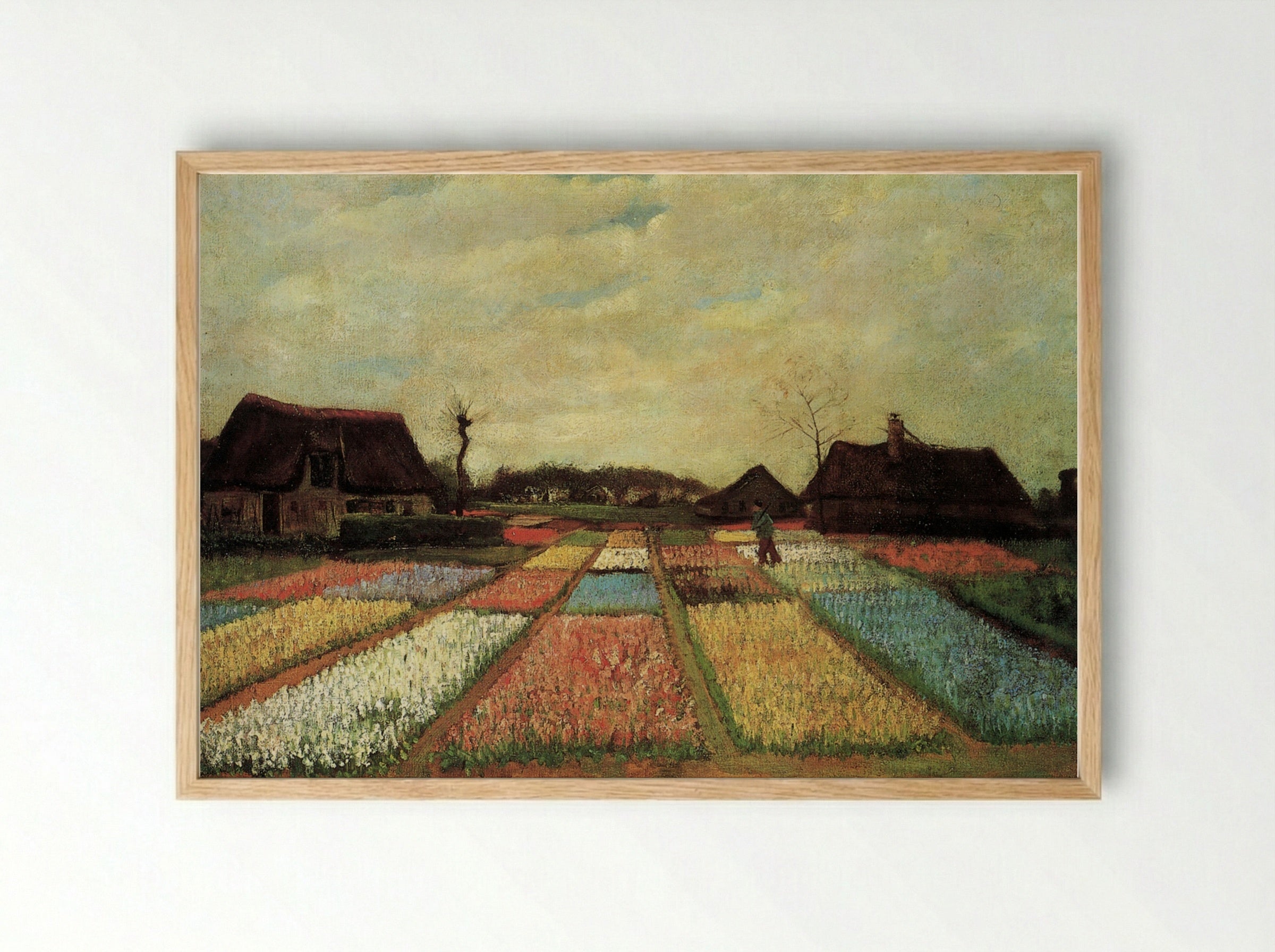 Bulb Fields - Vincent van Gogh - Framed Print Wood