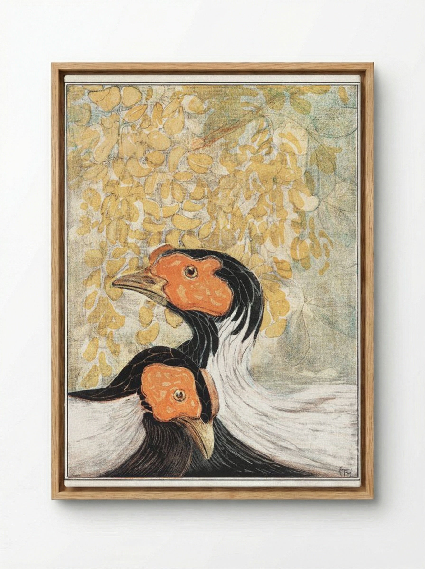 Two Silver Pheasants - Theo van Hoytema - Framed Canvas Wood