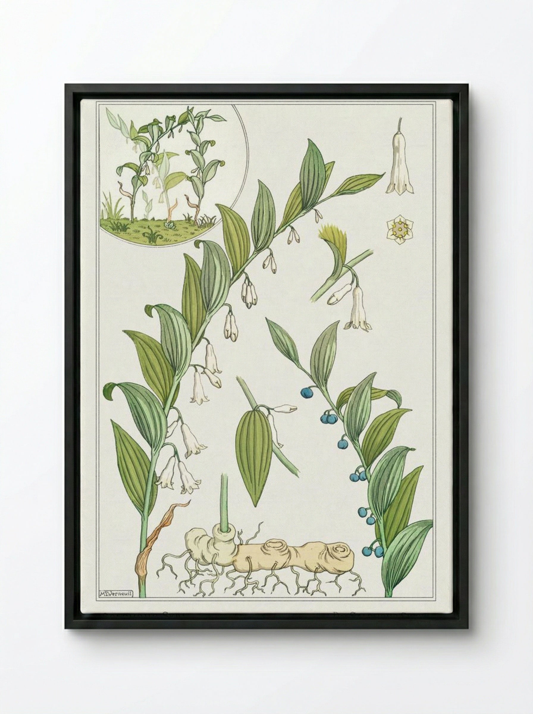 Sceau de Salomon (Solomon's Seal) - Maurice Pillard Verneuil - Framed Canvas Black