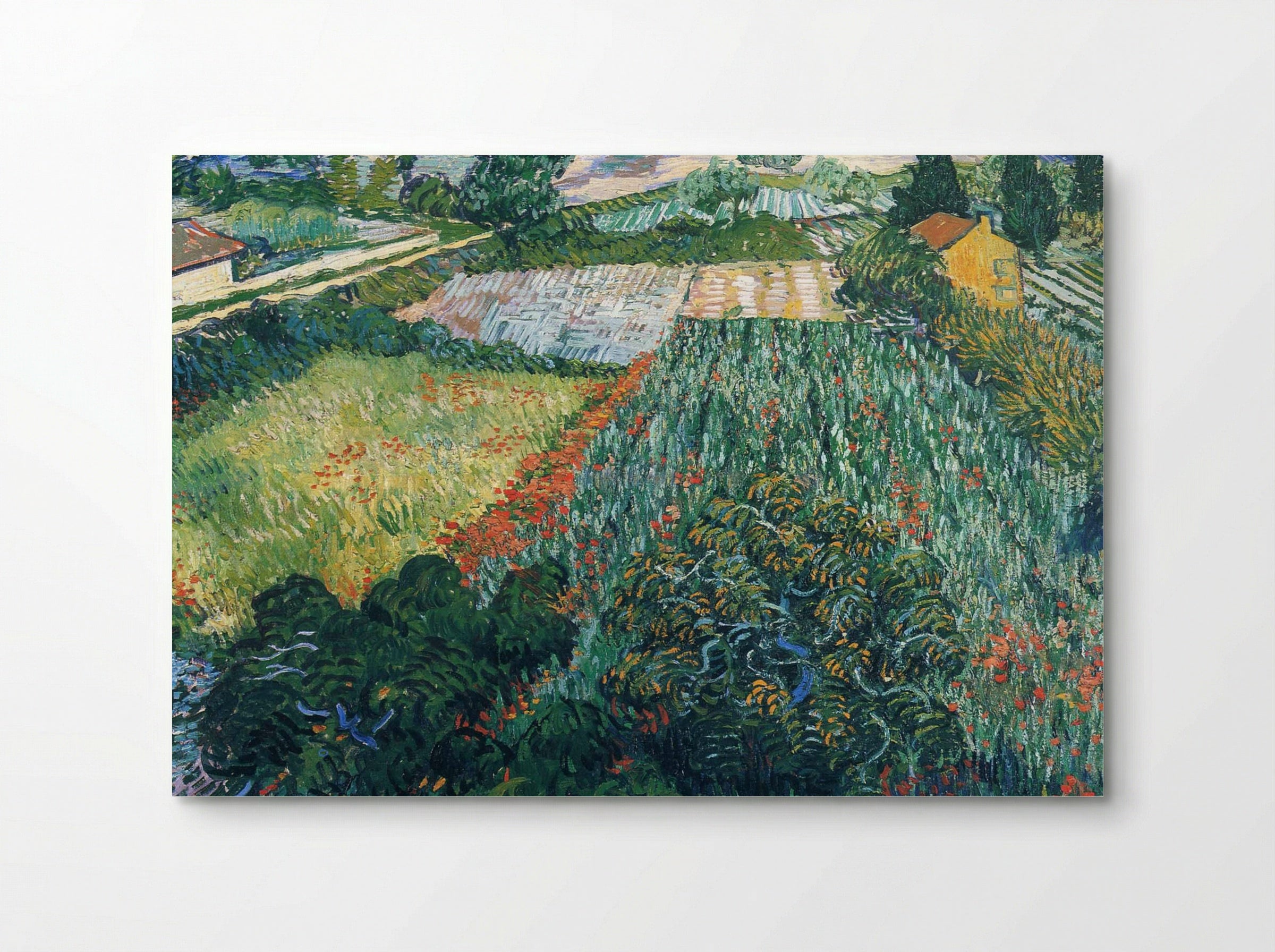 Field with Poppies - Vincent van Gogh - Poster
