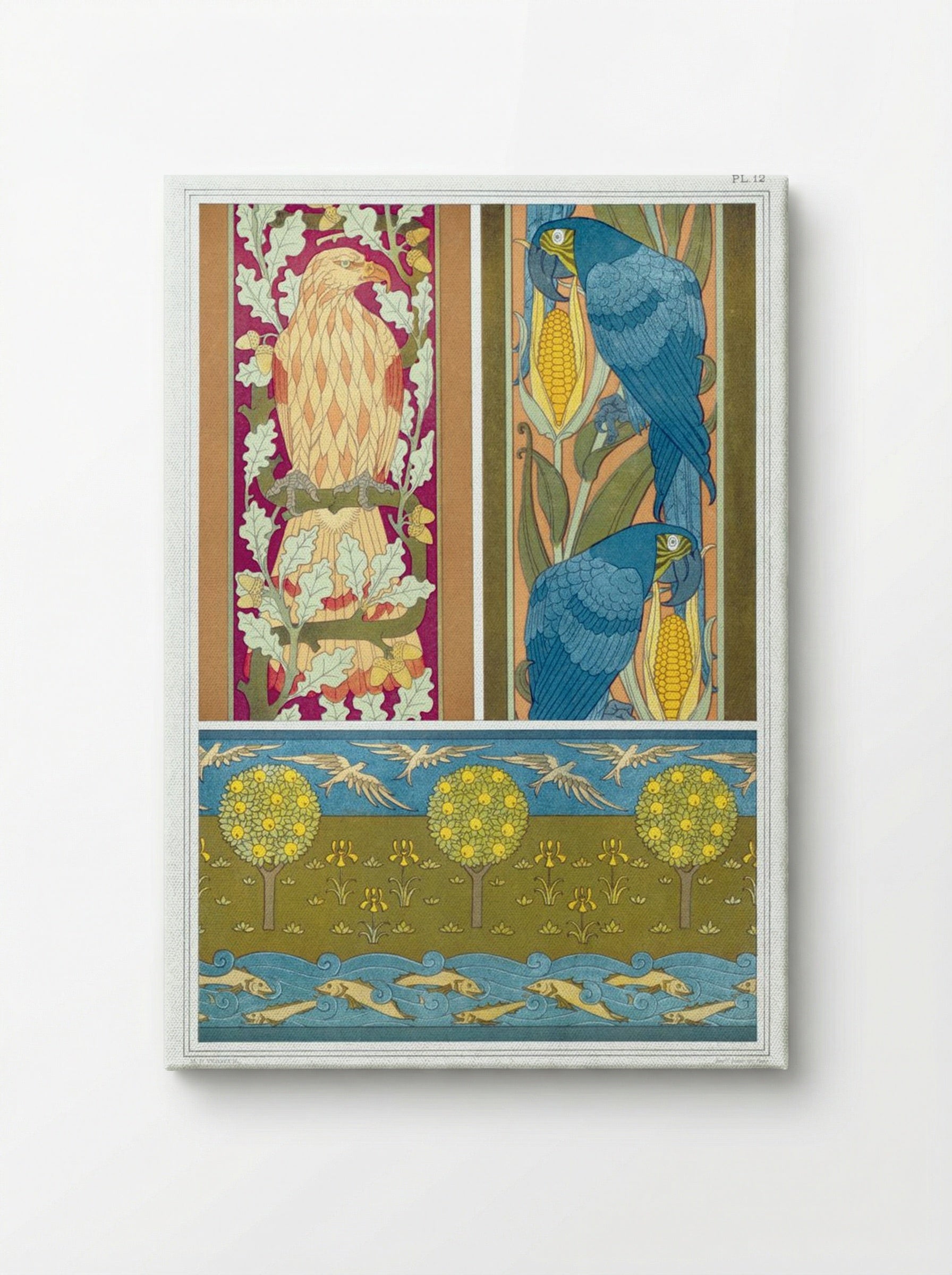 L'Animal dans la Décoration, Plate 12 (Eagle, Macaws, Fish and Birds) - Maurice Pillard Verneuil - Canvas
