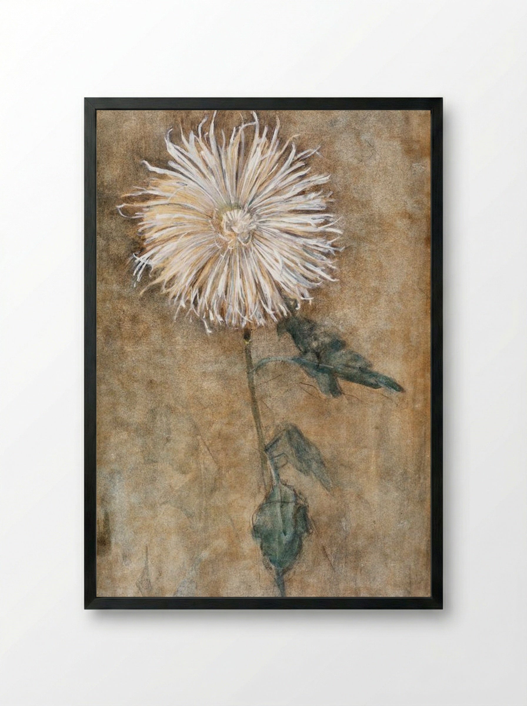 Chrysanthemum - Piet Mondrian - Framed Print Black