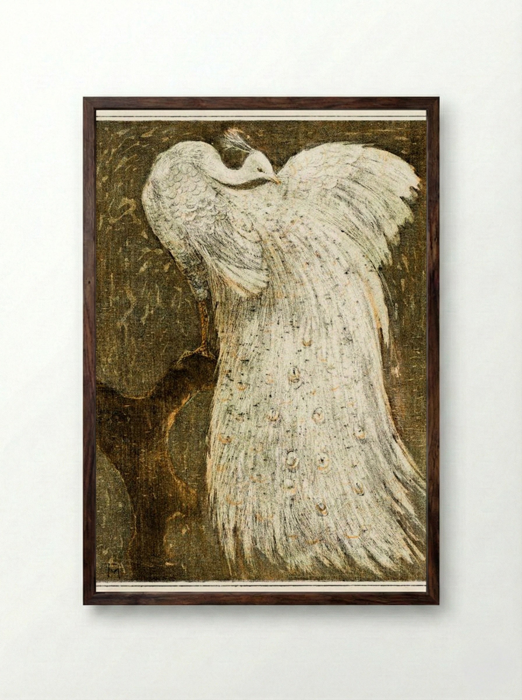 White Peacock on a Branch - Theo van Hoytema - Framed Print Dark Wood