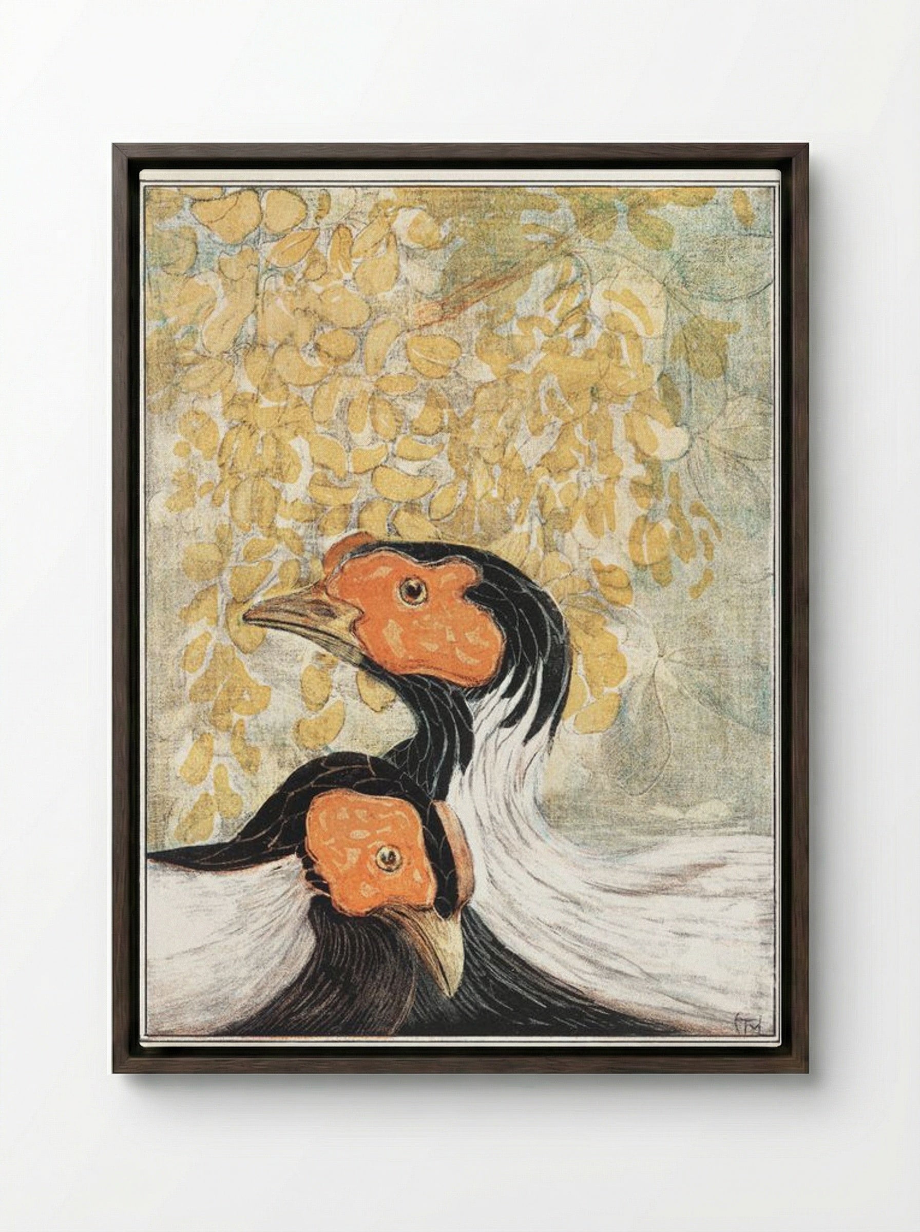 Two Silver Pheasants - Theo van Hoytema - Framed Canvas Dark Wood