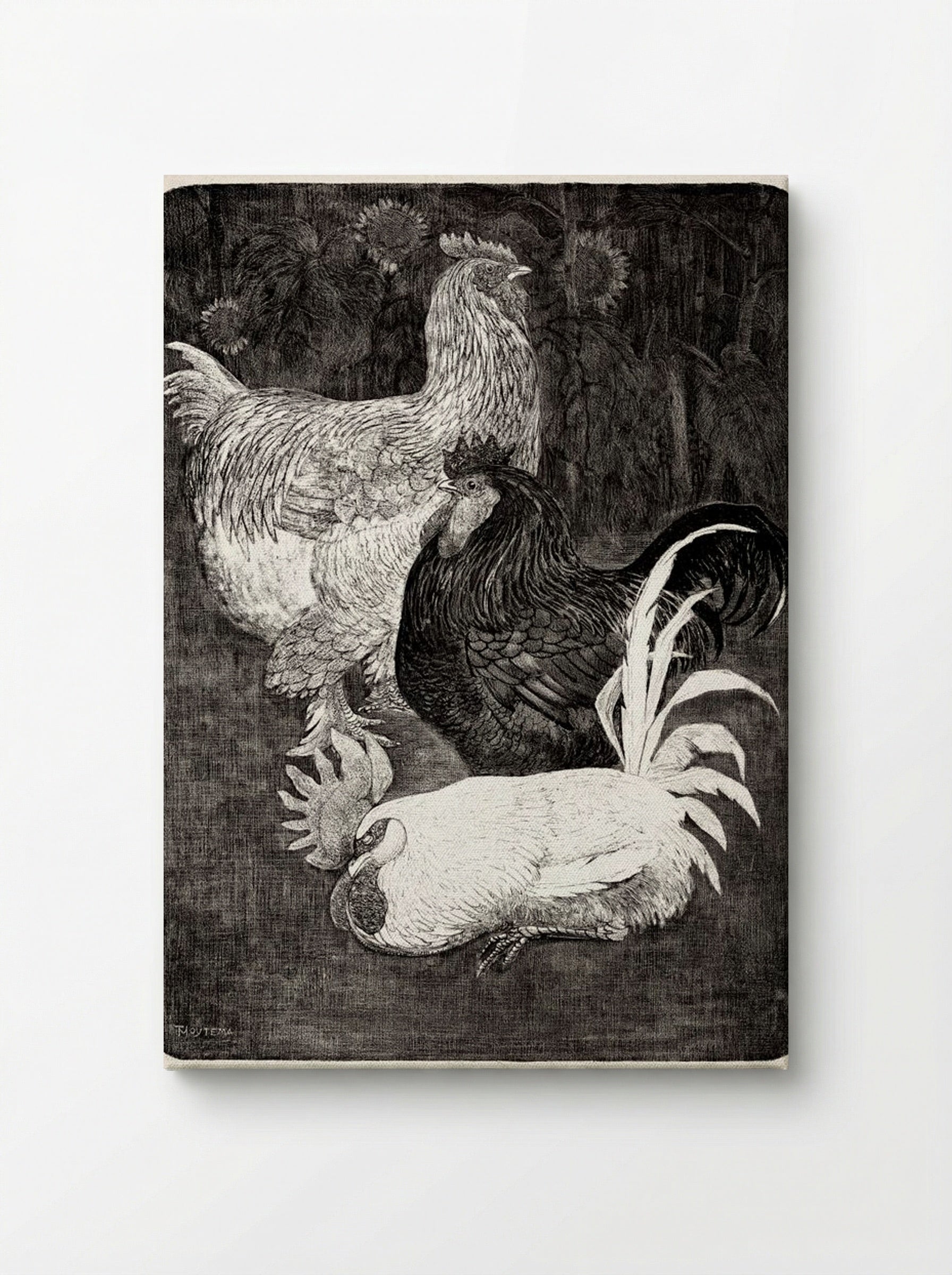 Drie Hanen (Three Roosters) - Theo van Hoytema - Canvas