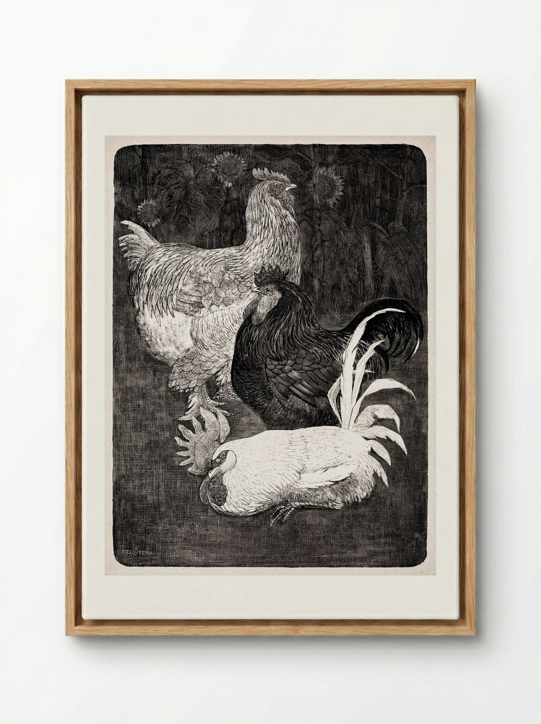 Drie Hanen (Three Roosters) - Theo van Hoytema - Framed Canvas Wood