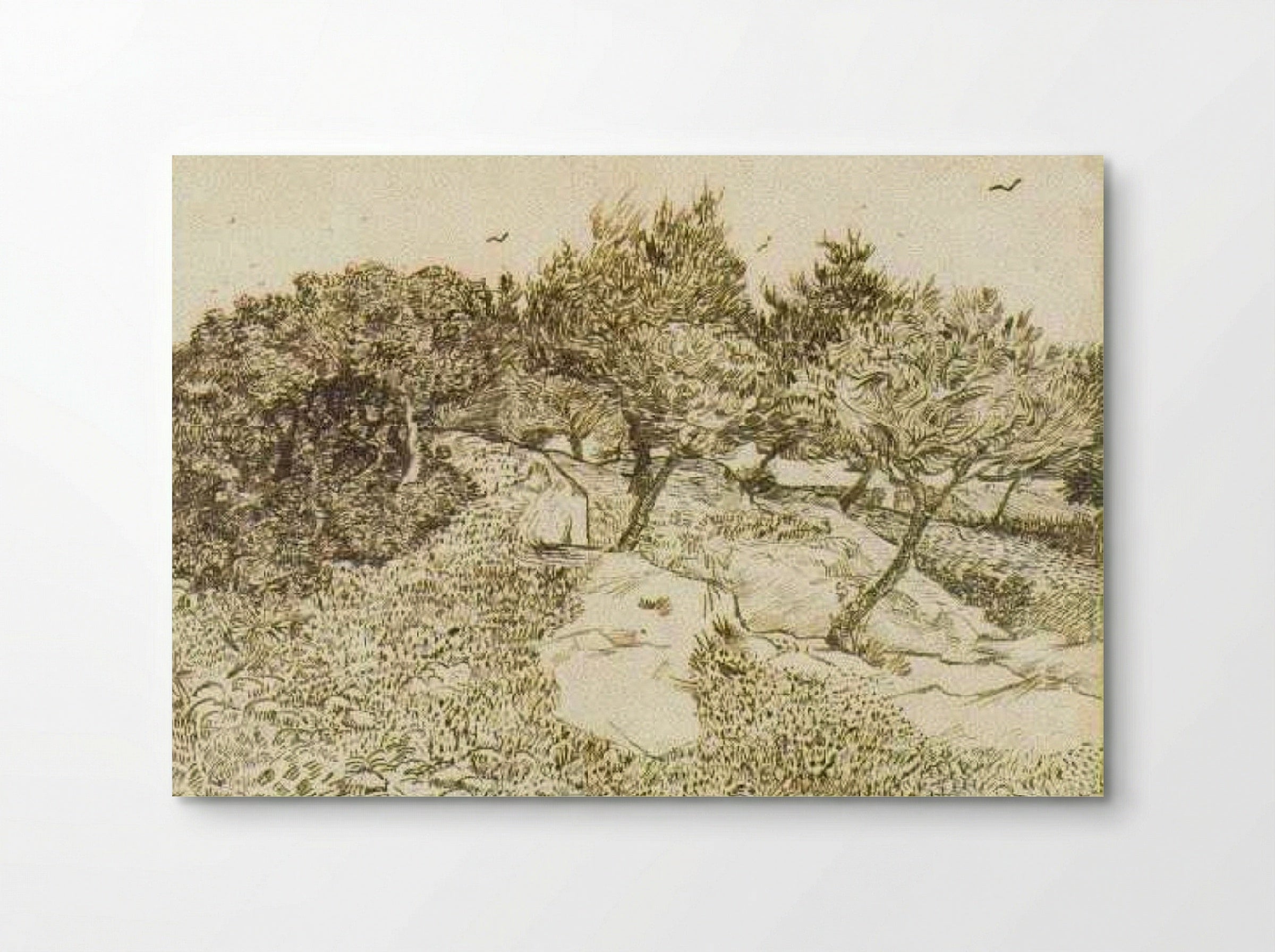 The Olive Trees - Vincent van Gogh - Poster