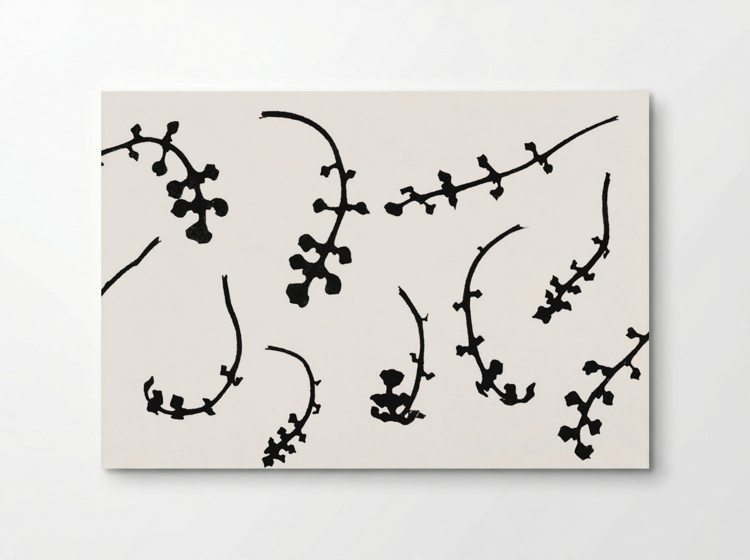 Root Rosettes of the Pentecostal Flower - Julie de Graag - Poster