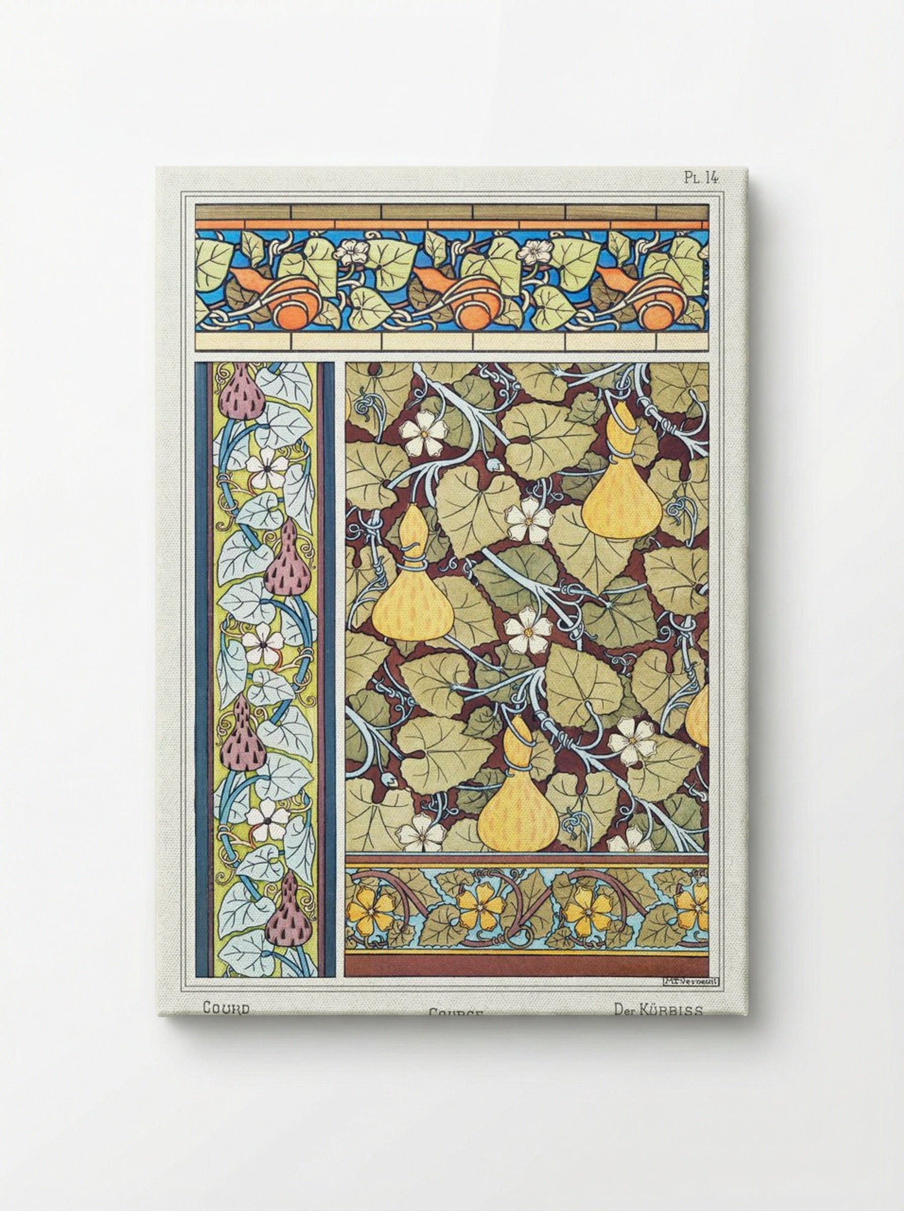 Courge (White-Flowered Gourd, from La Plante et ses Applications ornementales) - Maurice Pillard Verneuil - Canvas