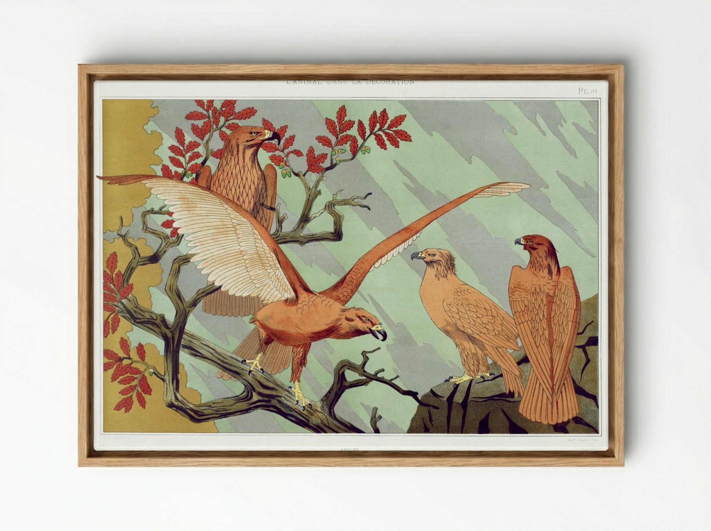 Aigles (Eagles) from L'animal dans la décoration - Maurice Pillard Verneuil - Framed Canvas Wood