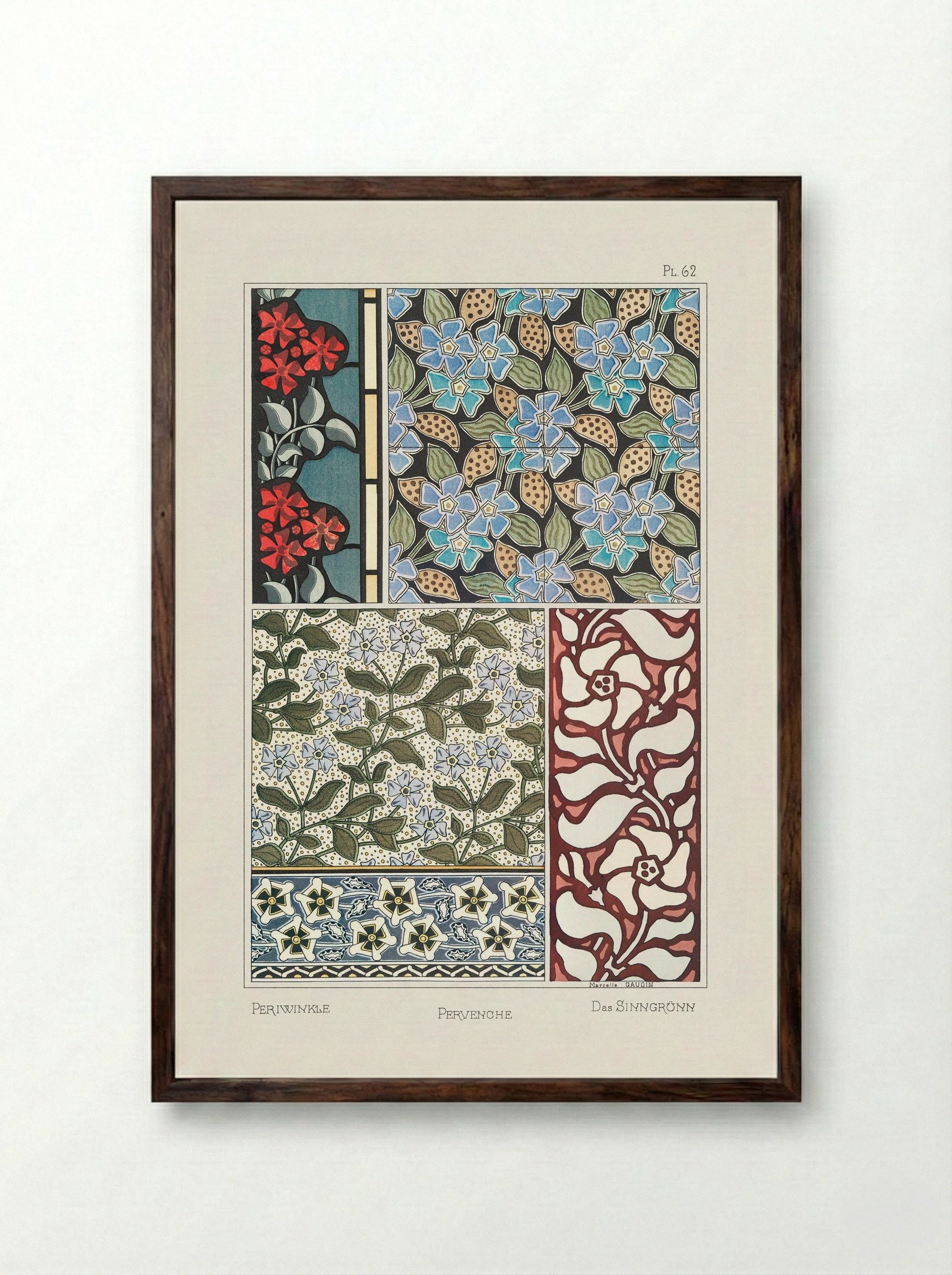 Pervenche (Periwinkle) from La Plante et ses Applications ornementales - Maurice Pillard Verneuil - Framed Print Dark Wood