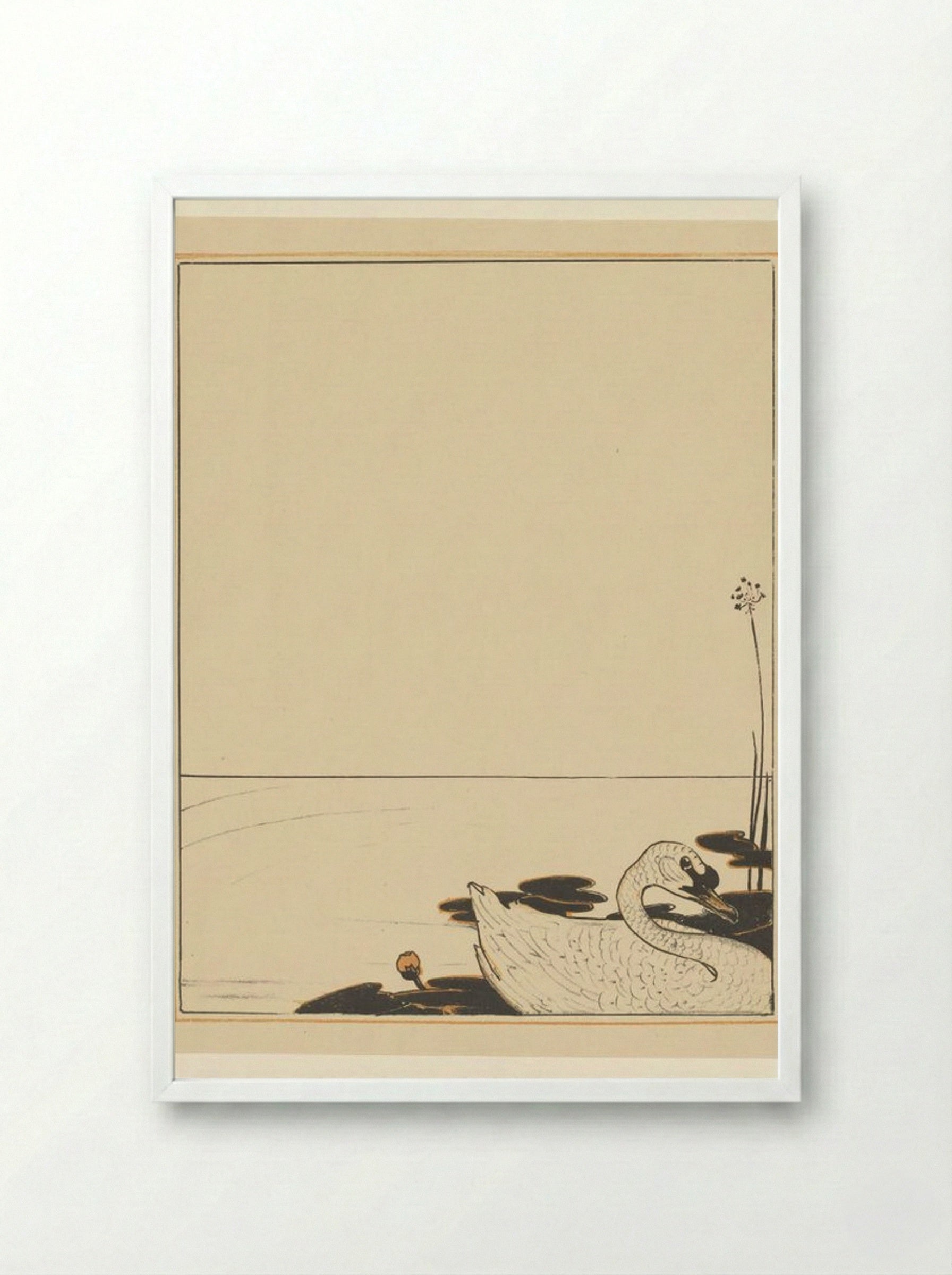 Swimming Swan - Theo van Hoytema - Framed Print White