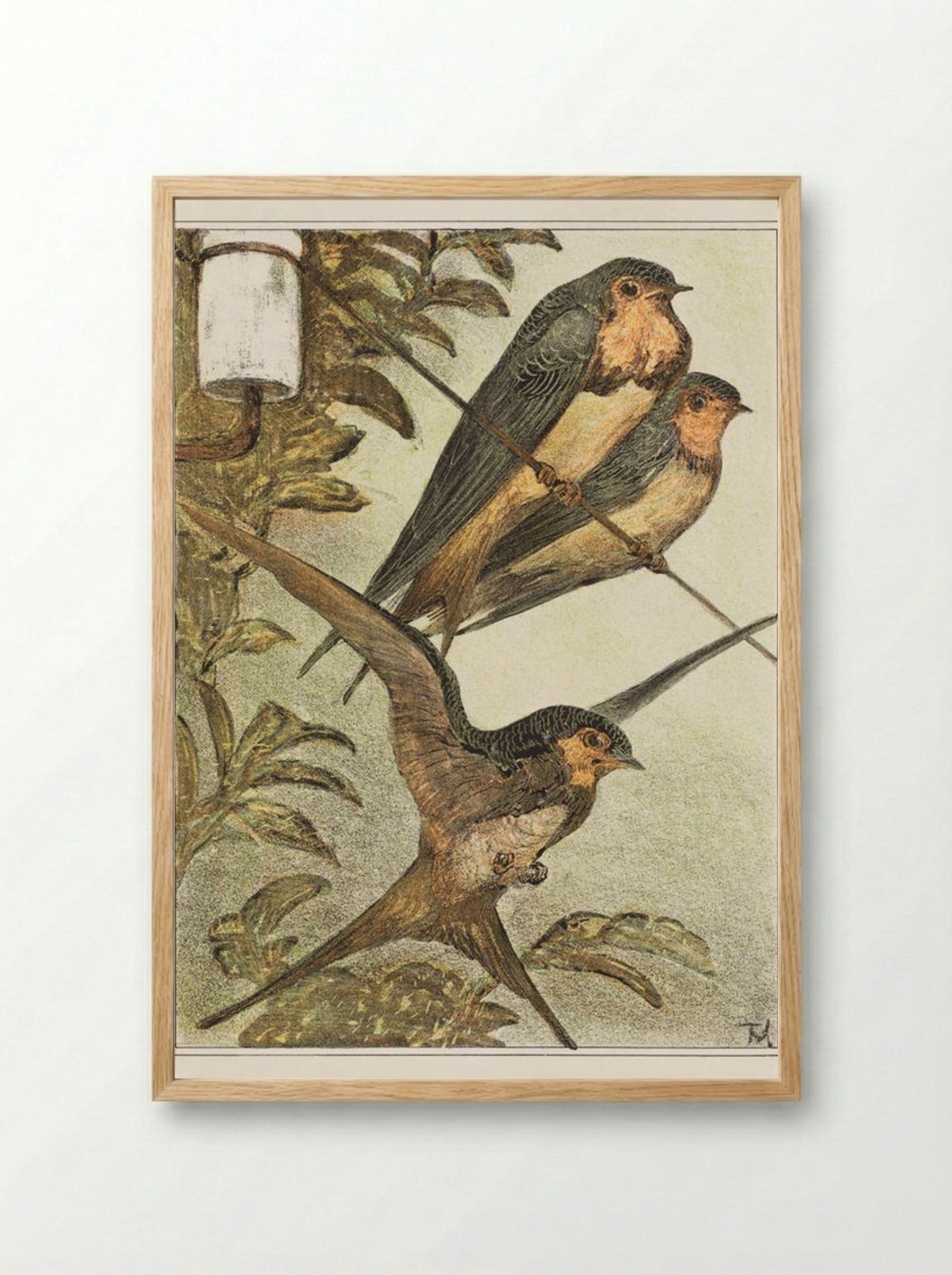 Drie zwaluwen (Three Swallows) - Theo van Hoytema - Framed Print Wood