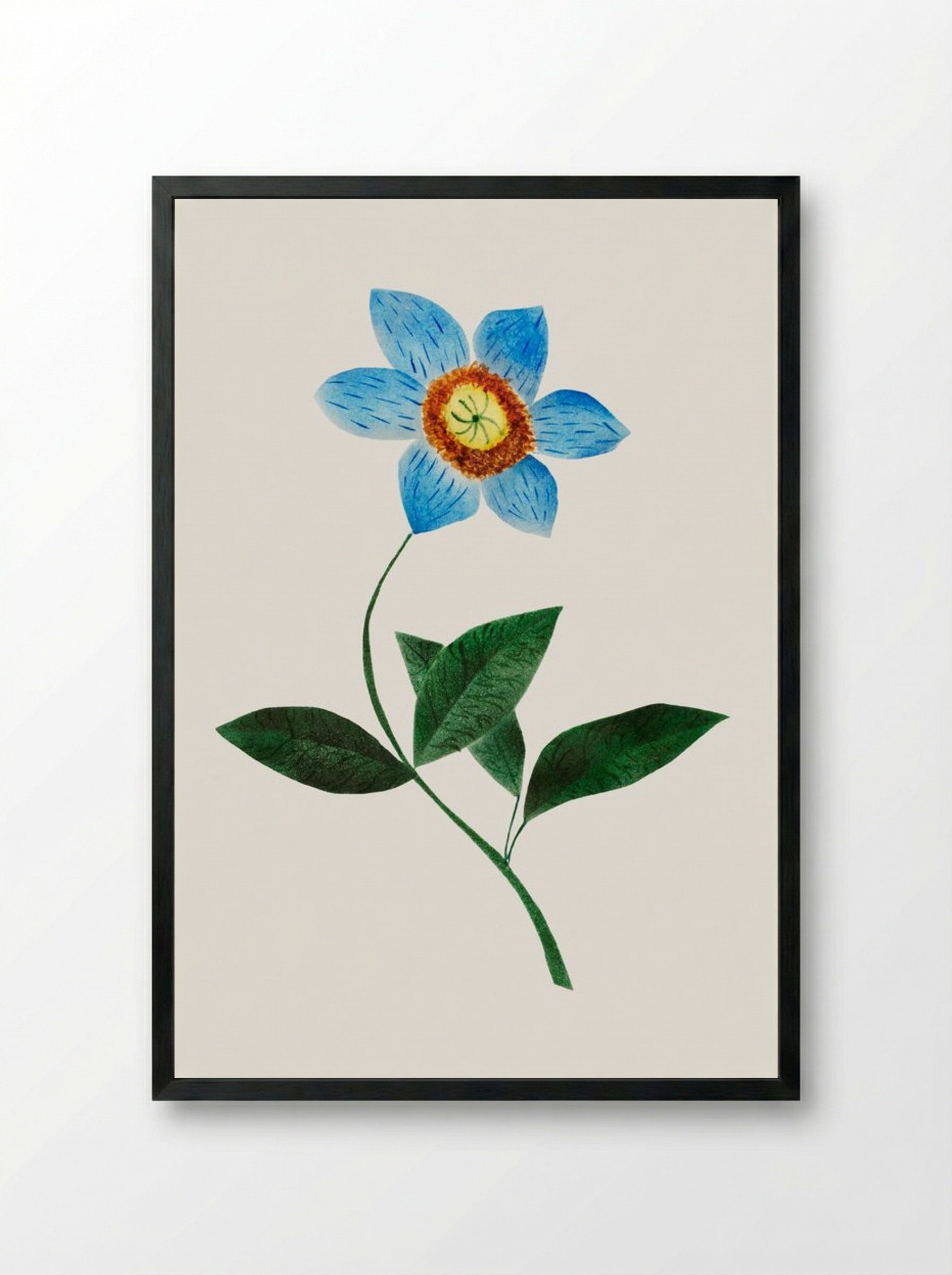 Star Flower - Mary Altha Nims - Framed Print Black
