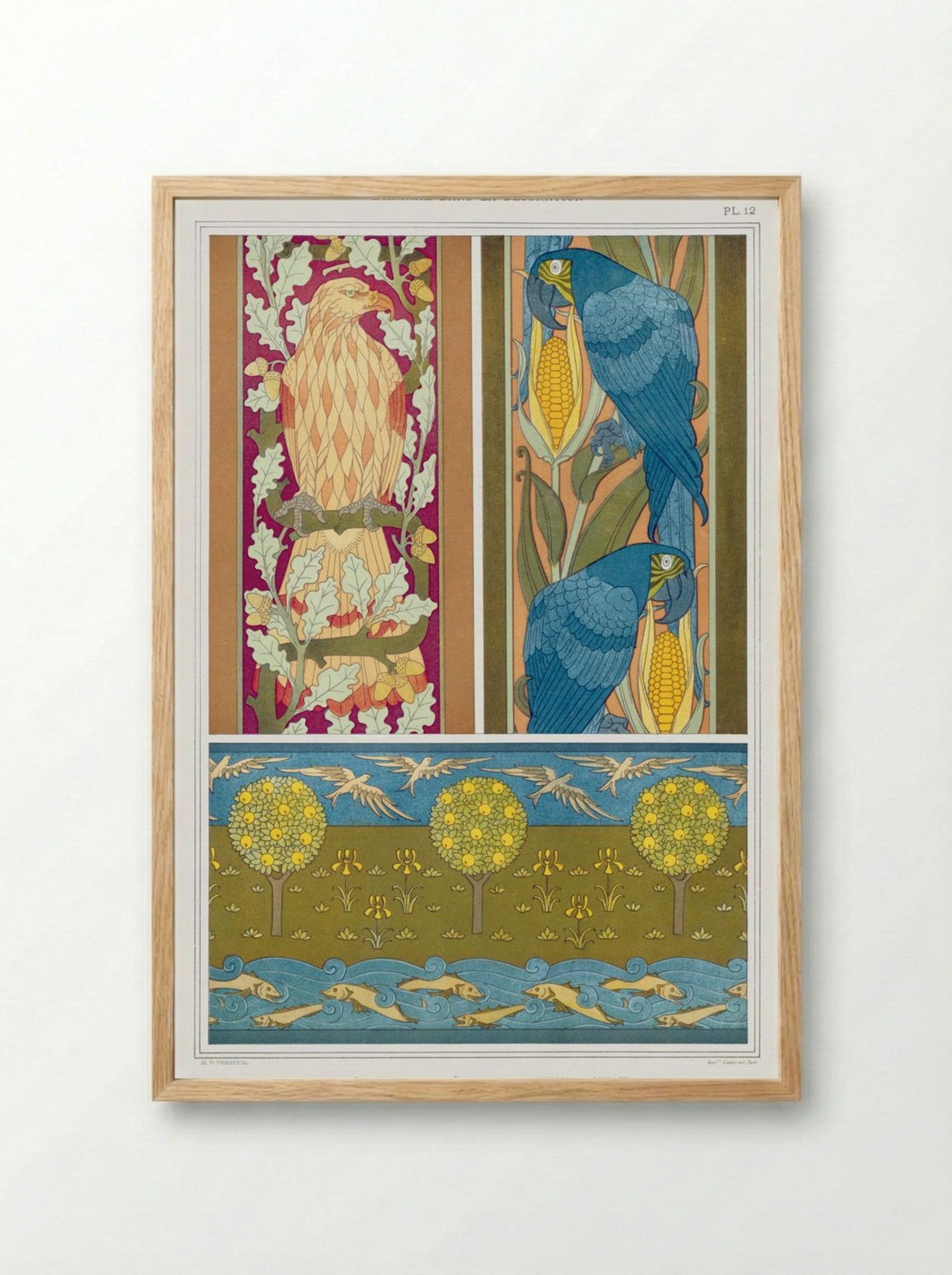 L'Animal dans la Décoration, Plate 12 (Eagle, Macaws, Fish and Birds) - Maurice Pillard Verneuil - Framed Print Wood