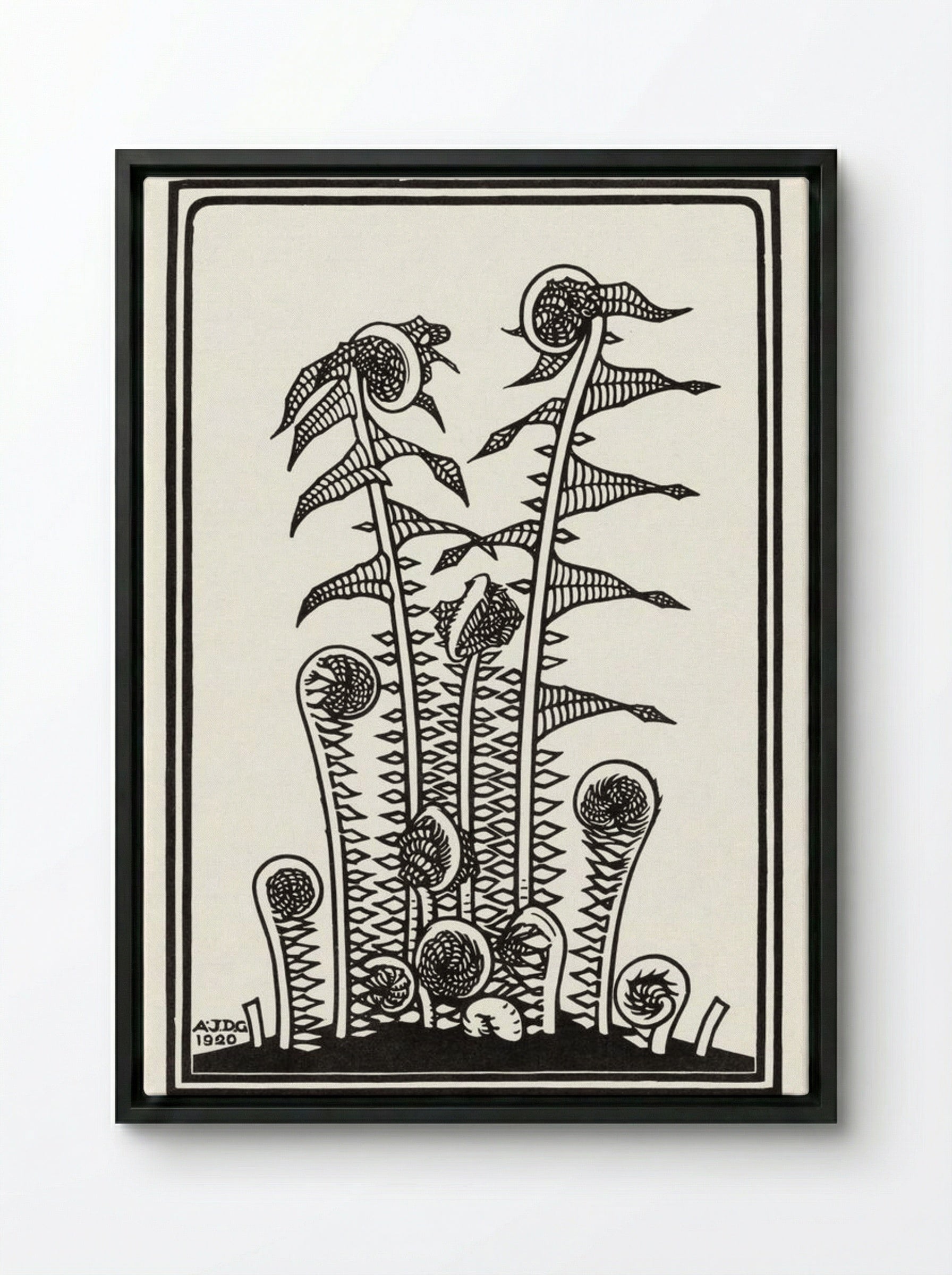 Ferns - Julie de Graag - Framed Canvas Black
