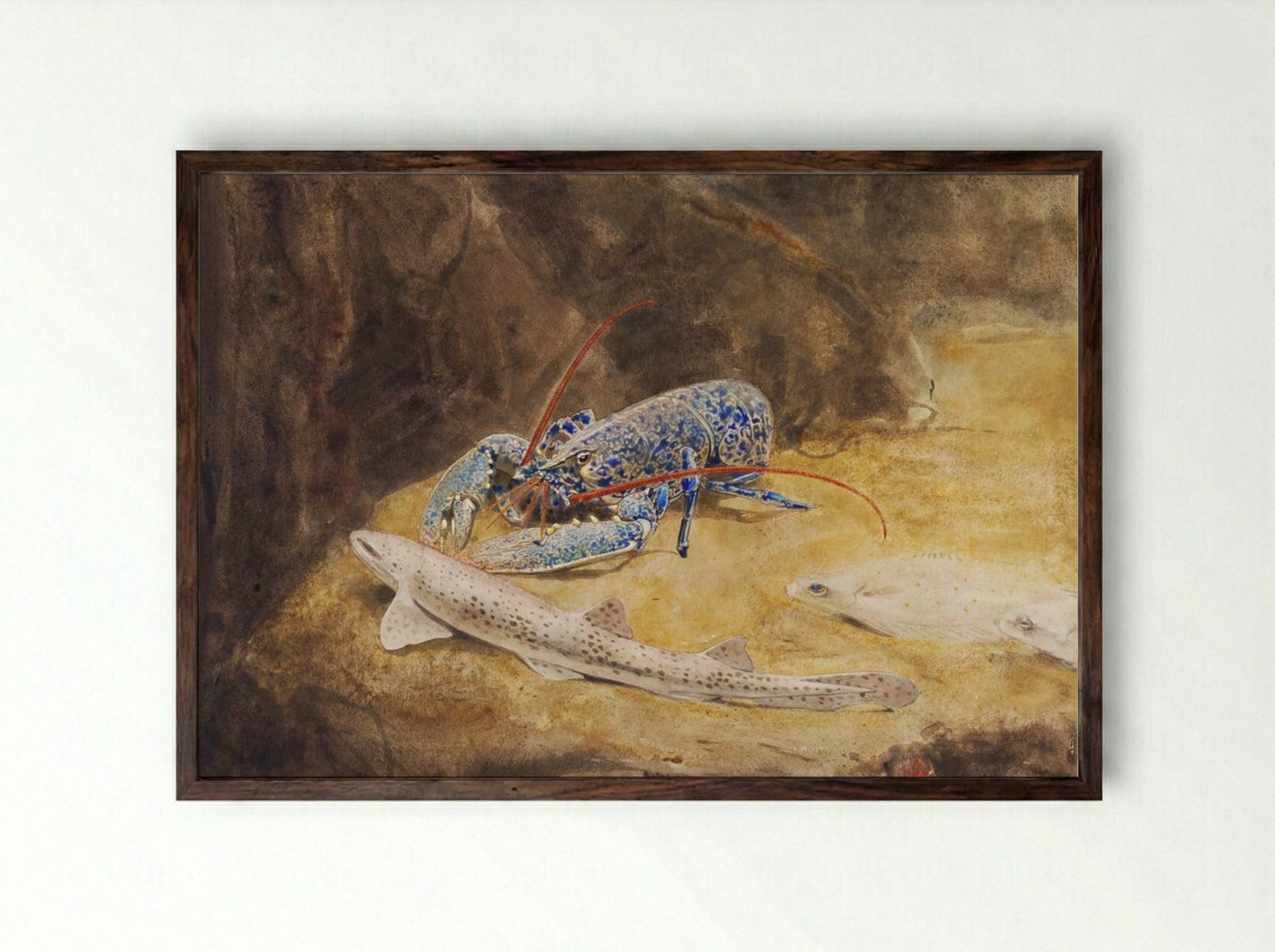 Aquarium with Three North Sea Fish, Lobster, Dogfish and Plaice - Gerrit Willem Dijsselhof - Framed Print Dark Wood