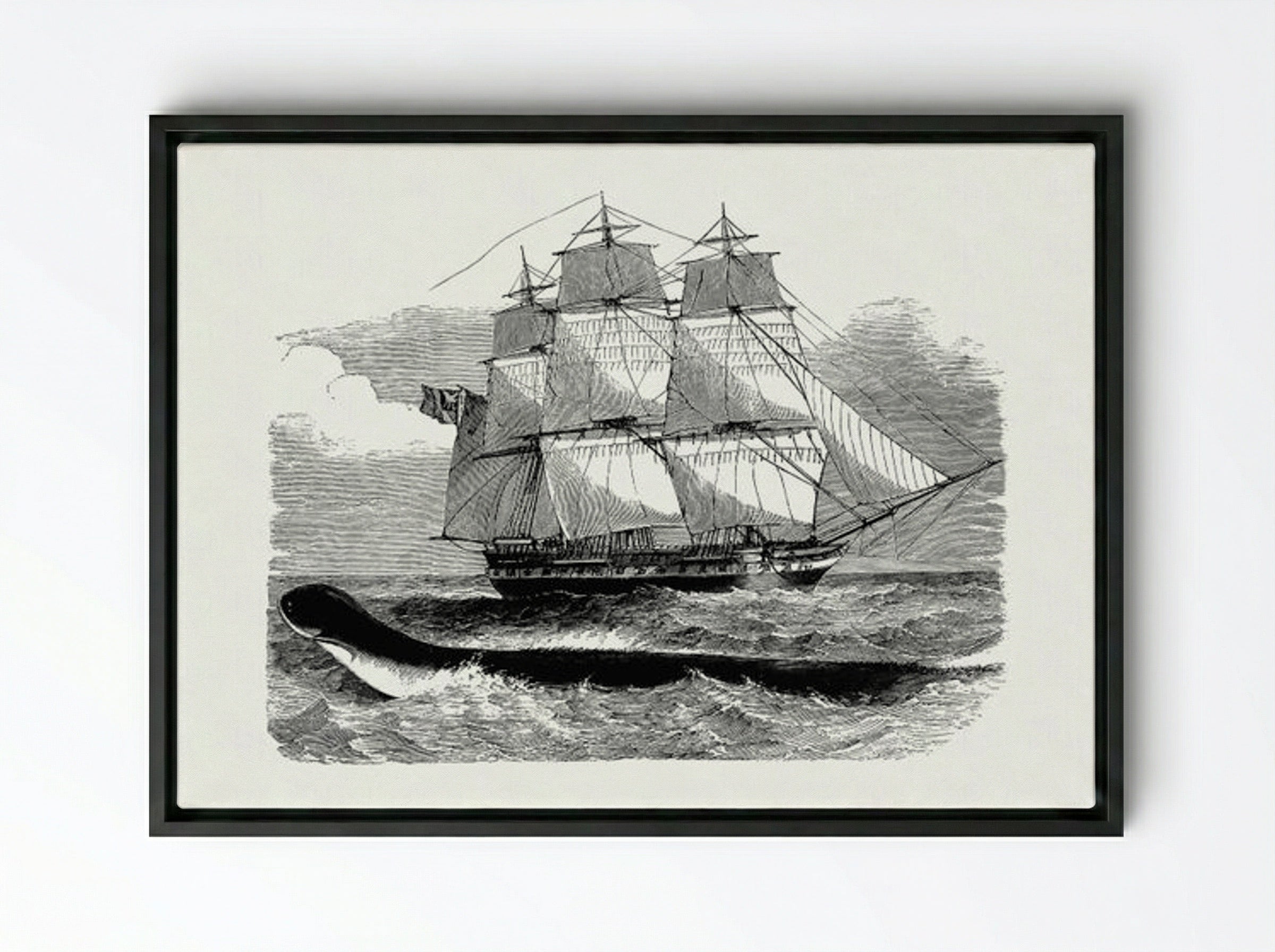 The Great Sea-Serpent, When First Seen From H.M.S. Daedalus - Fine Art Print - Framed Canvas Black
