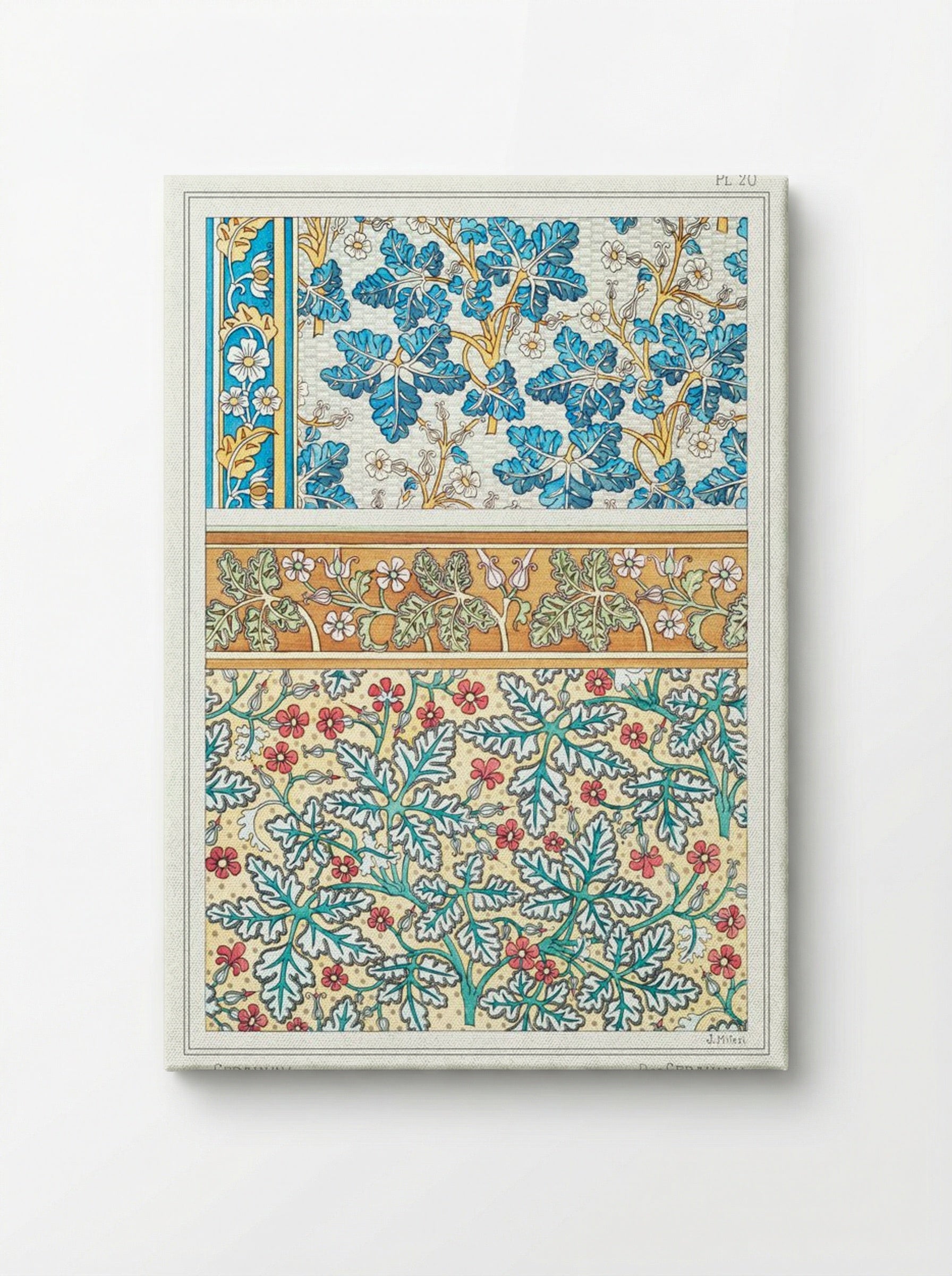 Geranium sauvage (Geranium, Plate 20) - Maurice Pillard Verneuil - Canvas