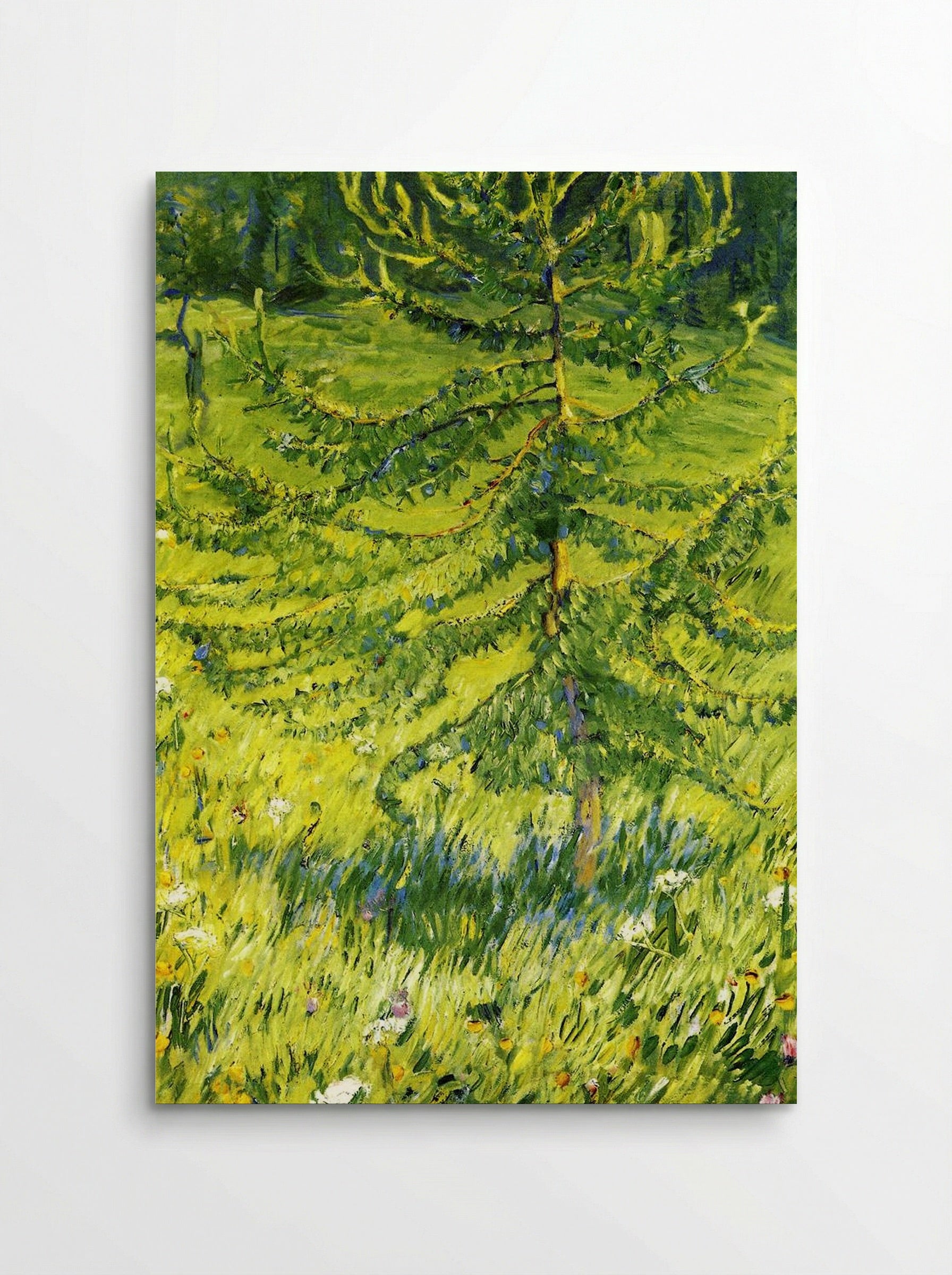 Larch Sapling - Konstantin Korovin - Poster