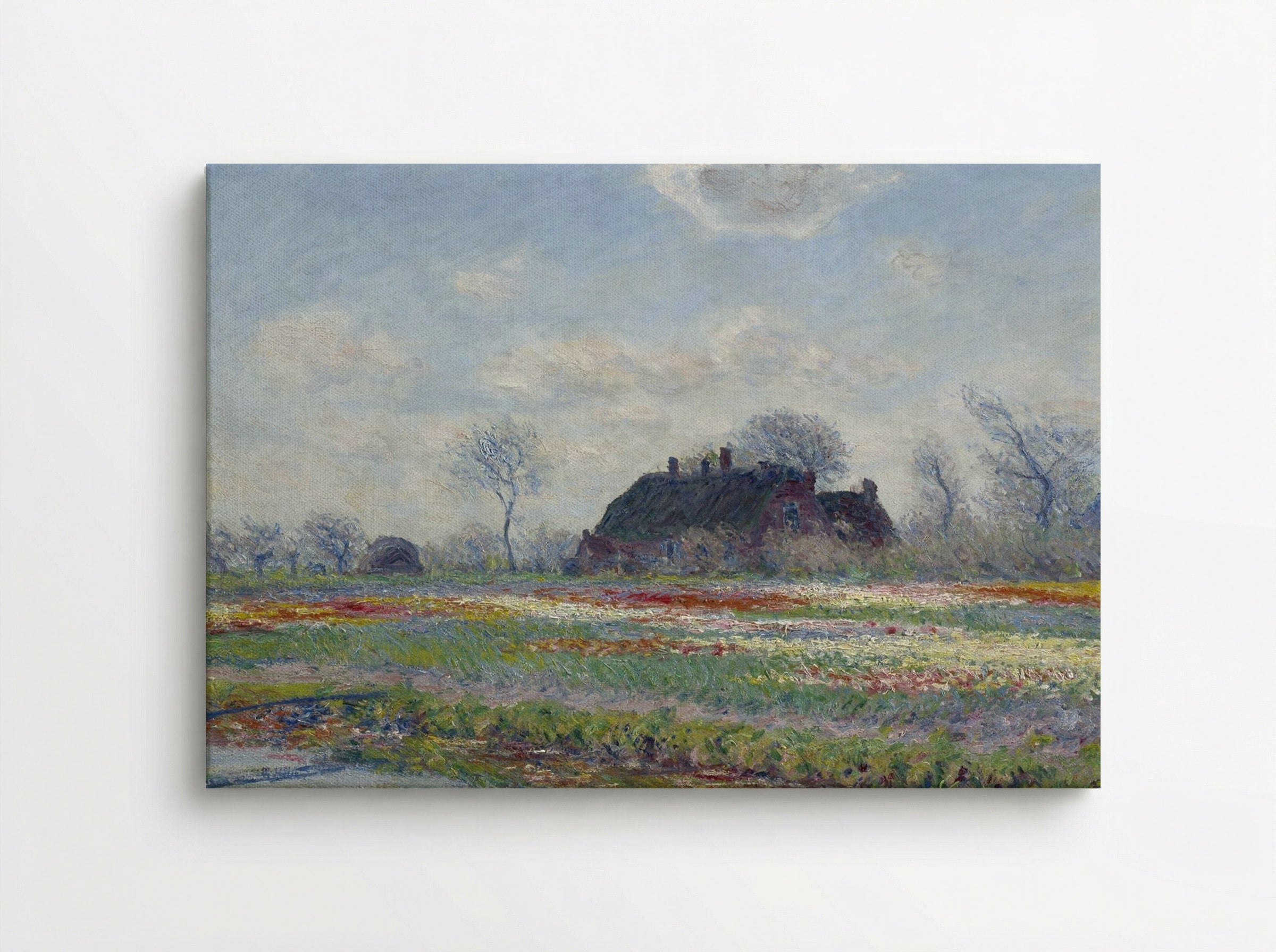 Tulip Fields at Sassenheim - Claude Monet - Canvas