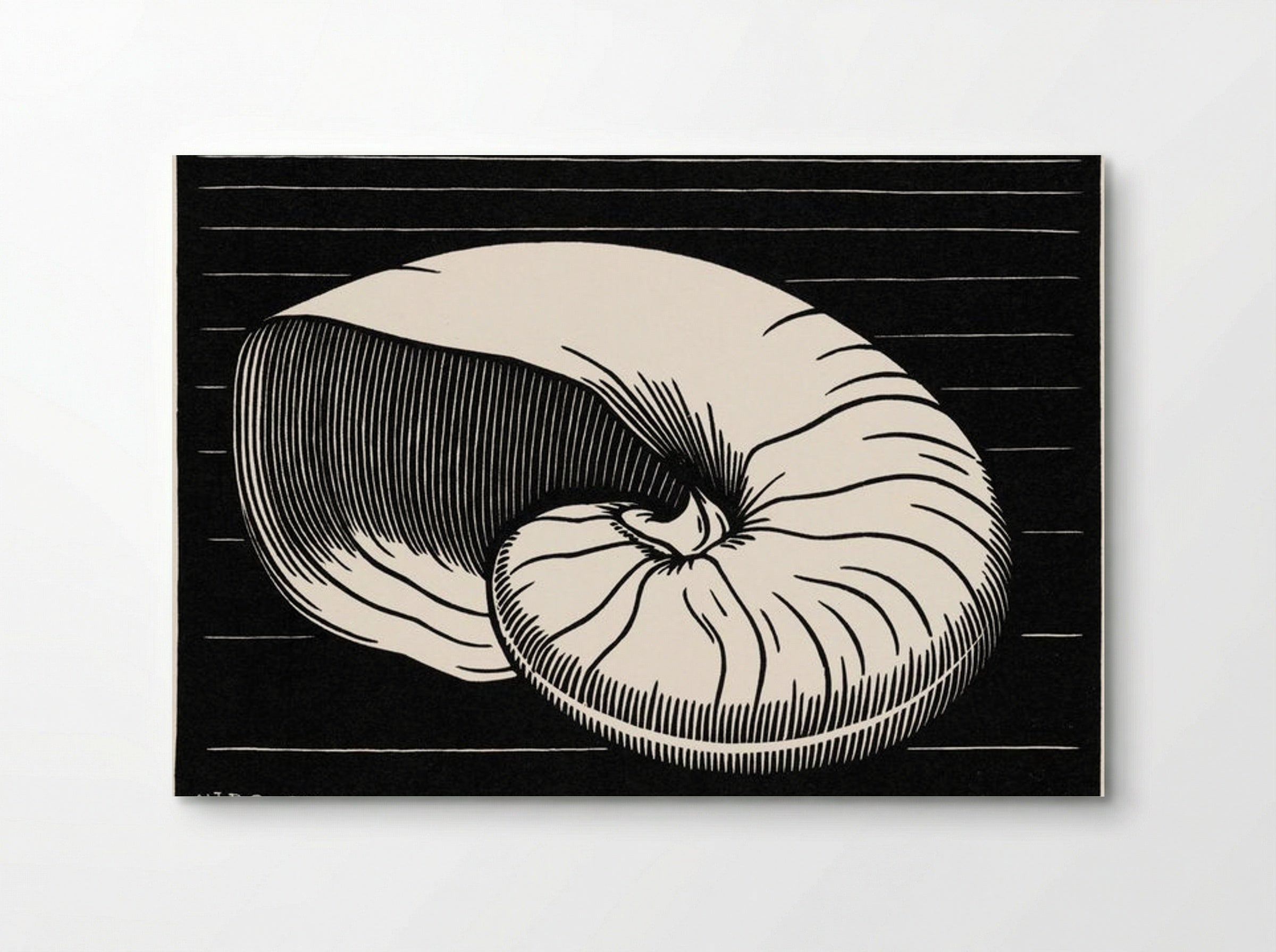 Shell - Julie de Graag - Poster