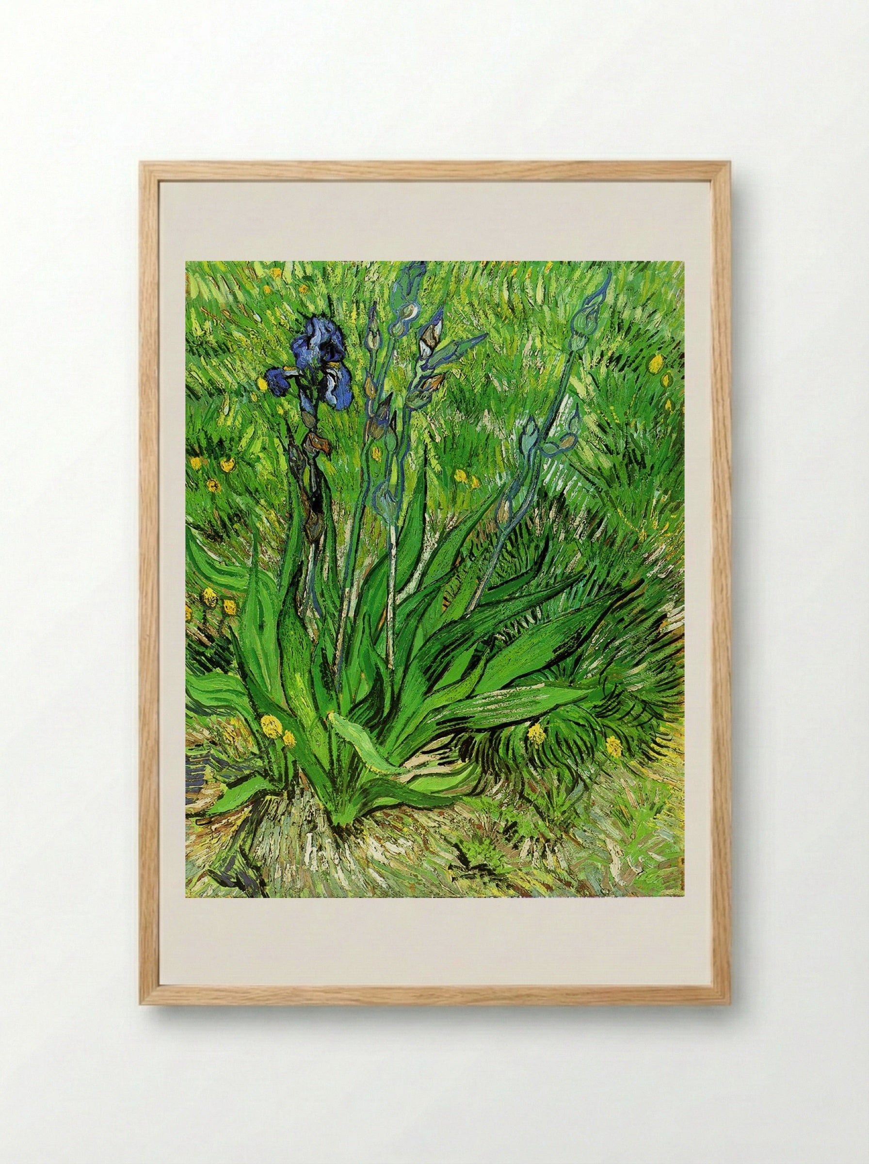 Irises - Vincent van Gogh - Framed Print Wood