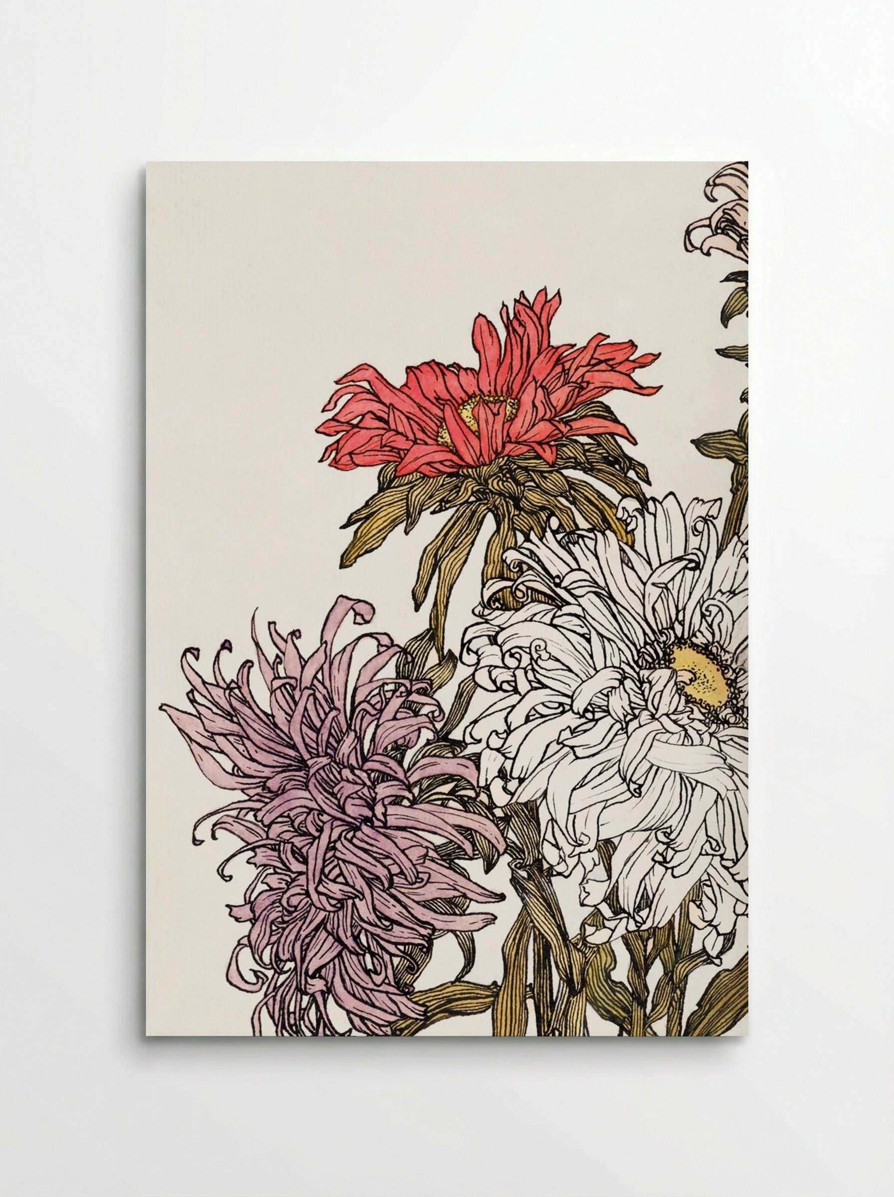 Chrysanthemums - Julie de Graag - Poster