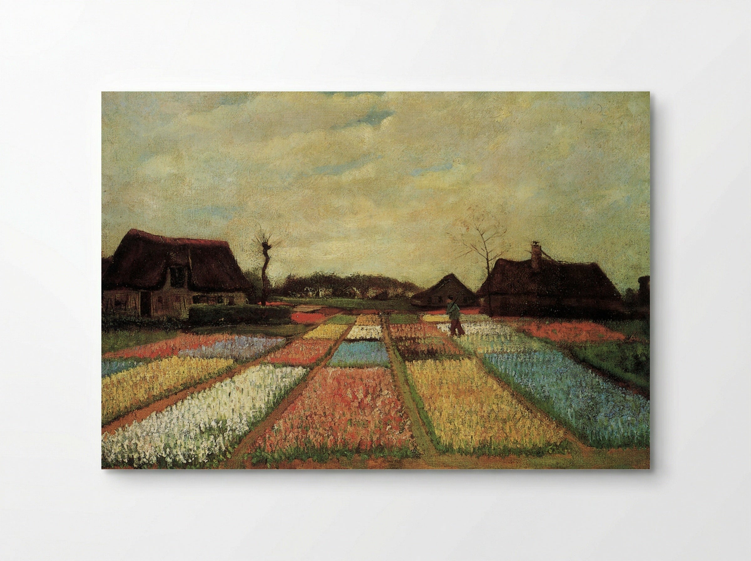 Bulb Fields - Vincent van Gogh - Poster