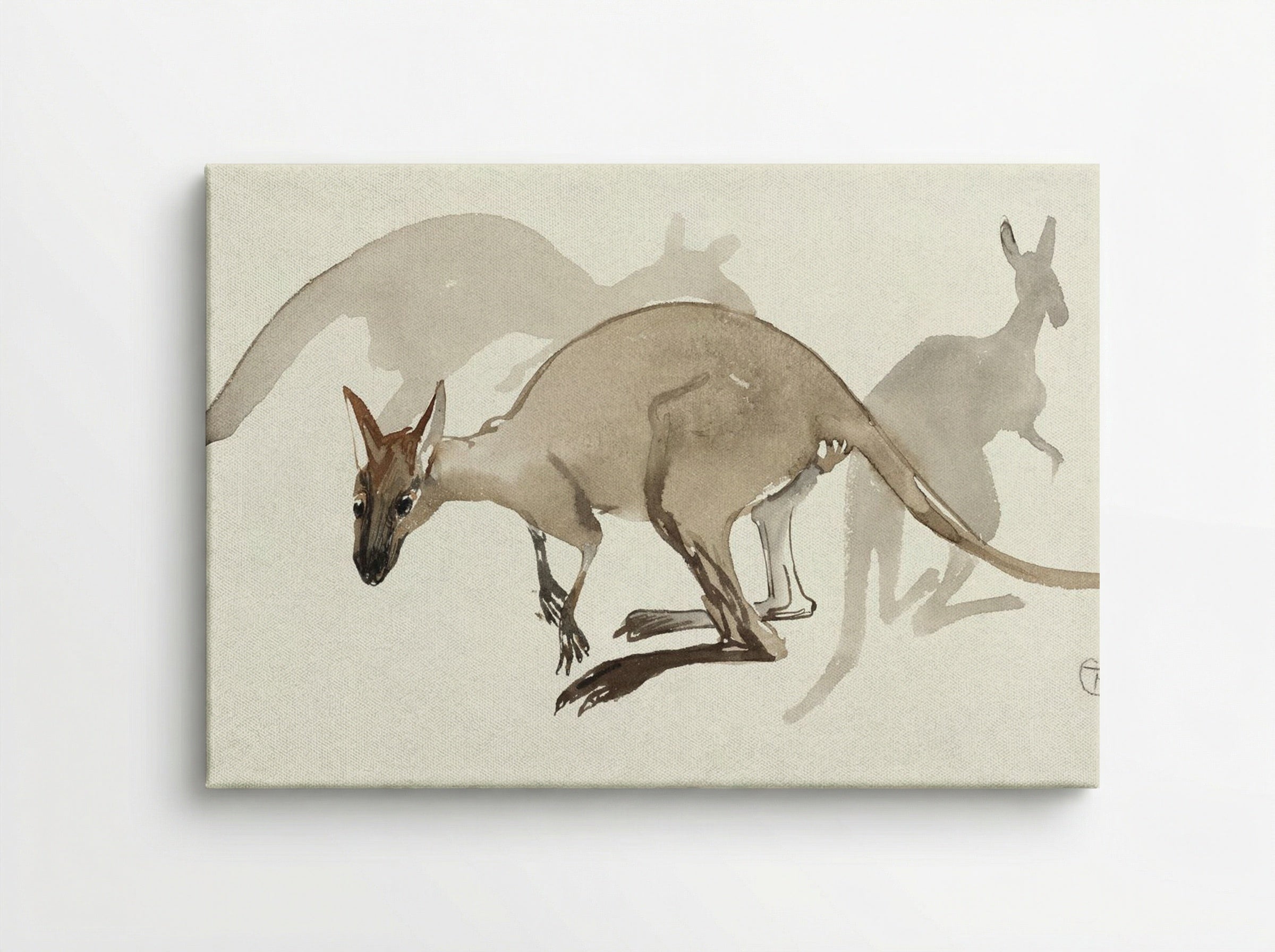 Kangaroos - Theo van Hoytema - Canvas