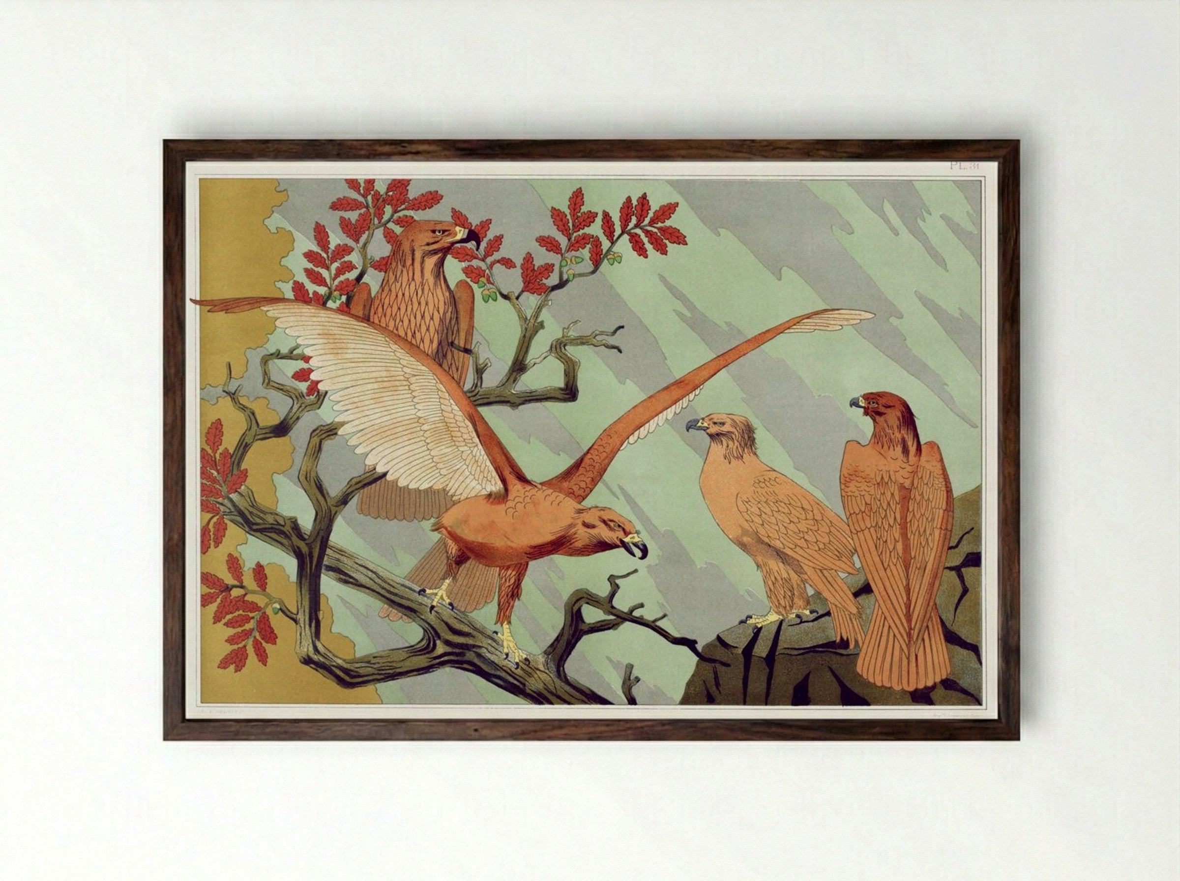Aigles (Eagles) from L'animal dans la décoration - Maurice Pillard Verneuil - Framed Print Dark Wood
