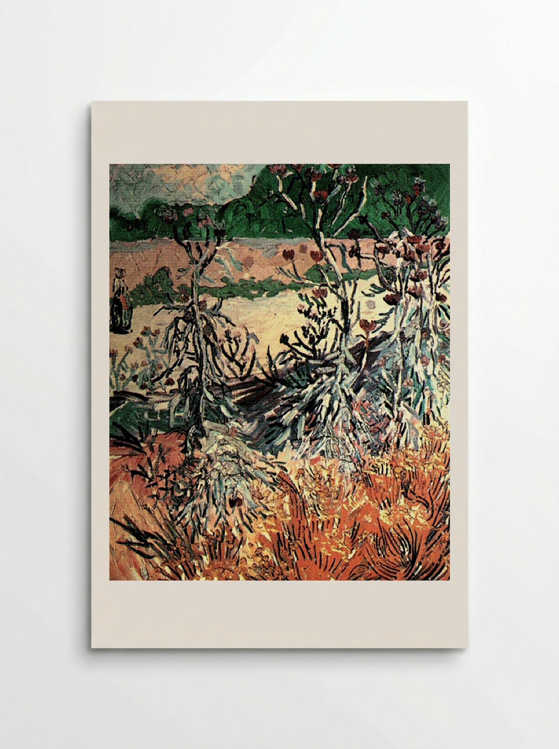 Thistles in a Field - Vincent van Gogh - Poster