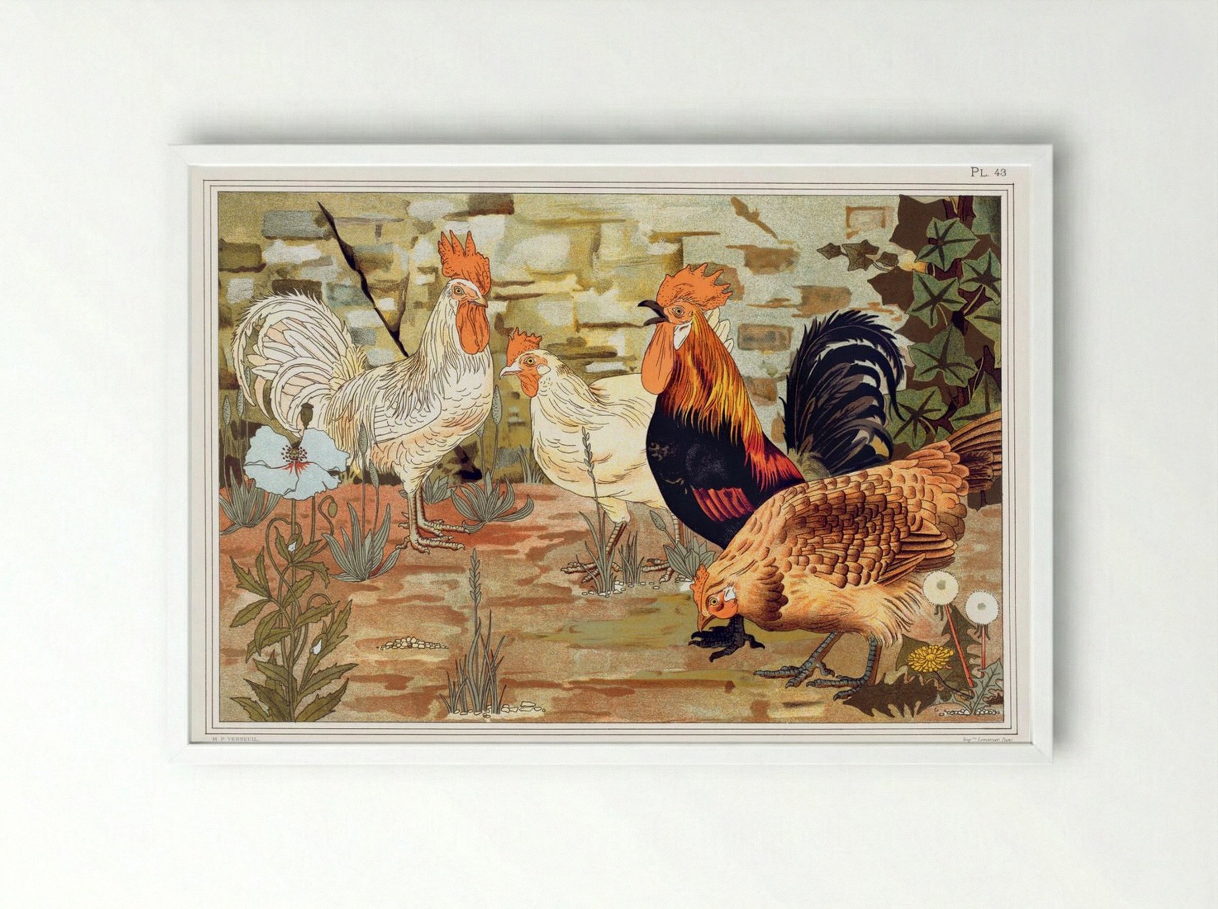 Coqs et Poules (From L'animal dans la décoration) - Maurice Pillard Verneuil - Framed Print White