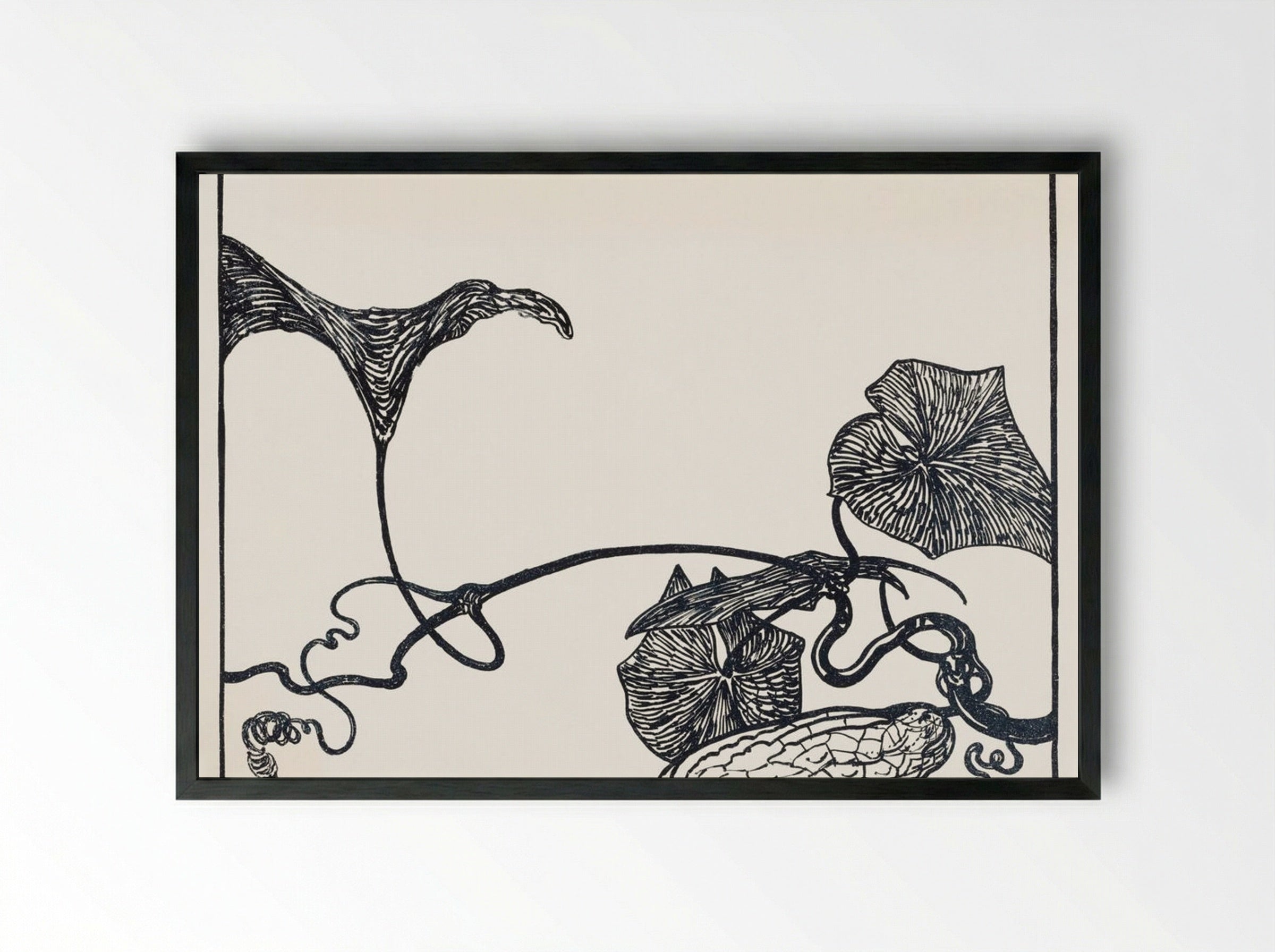 Augurkenplant (Cucumber Plant) - Theo van Hoytema - Framed Print Black