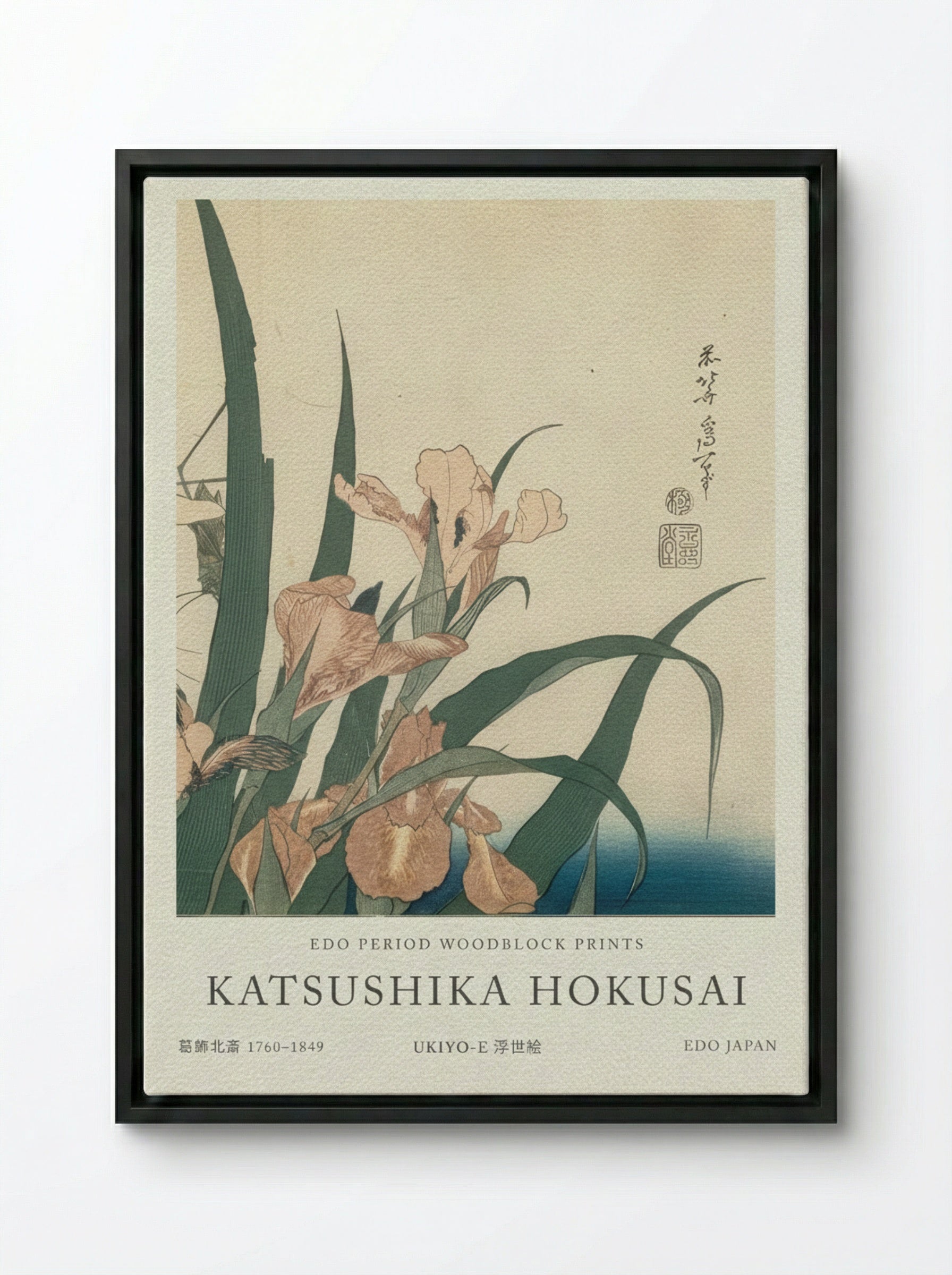 Irises and Grasshopper – Fine Art Print