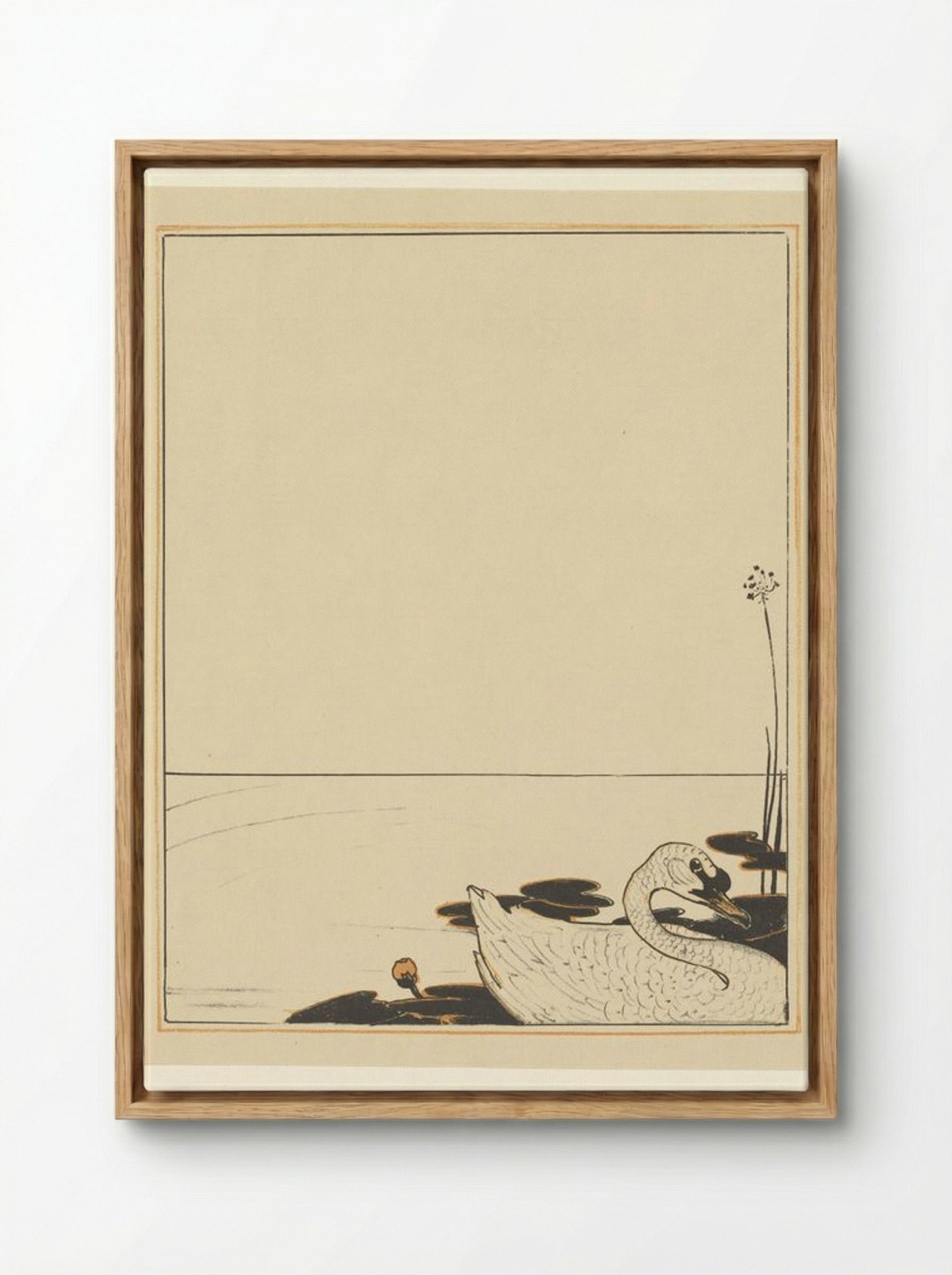 Swimming Swan - Theo van Hoytema - Framed Canvas Wood