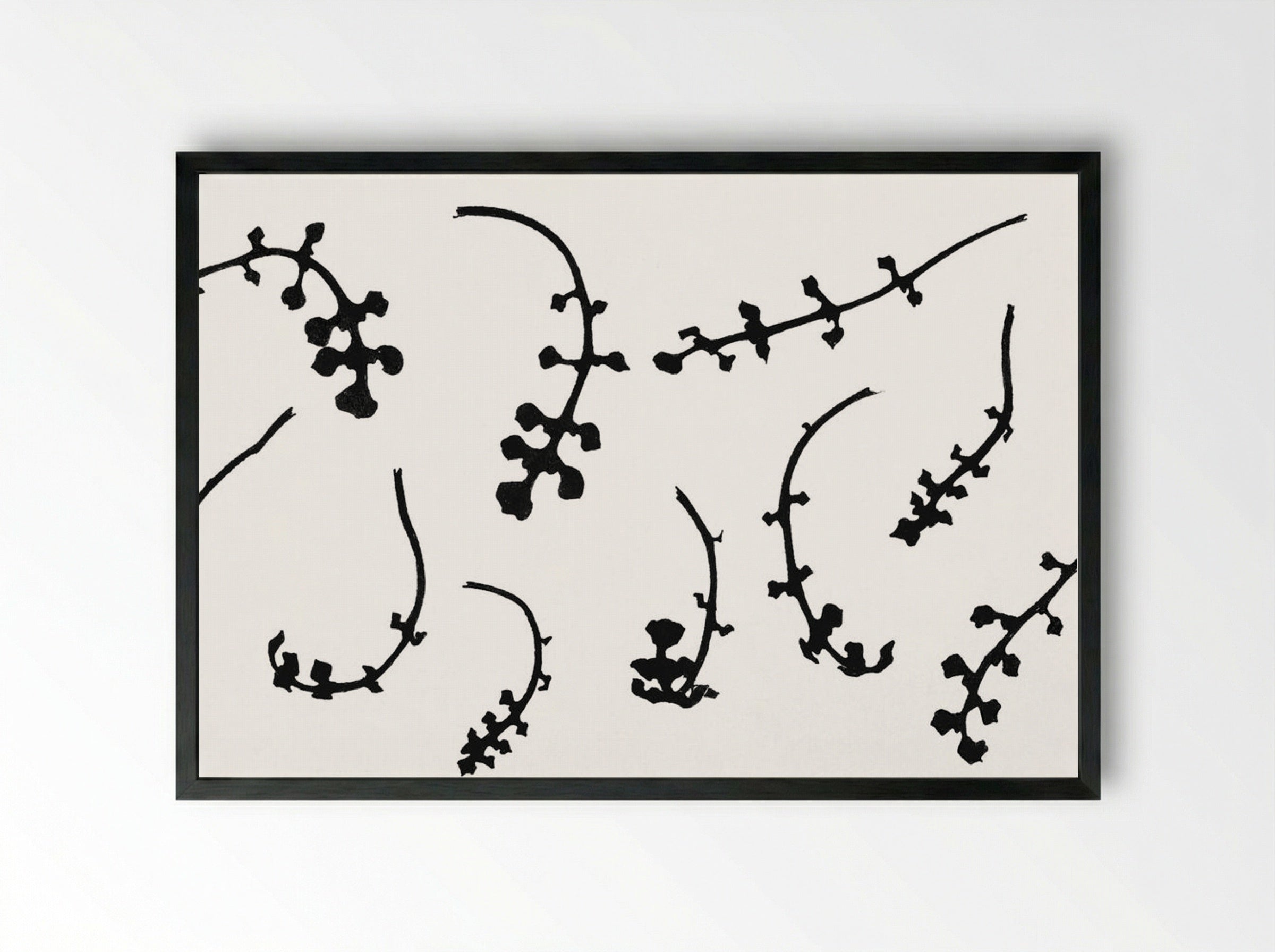 Root Rosettes of the Pentecostal Flower - Julie de Graag - Framed Print Black