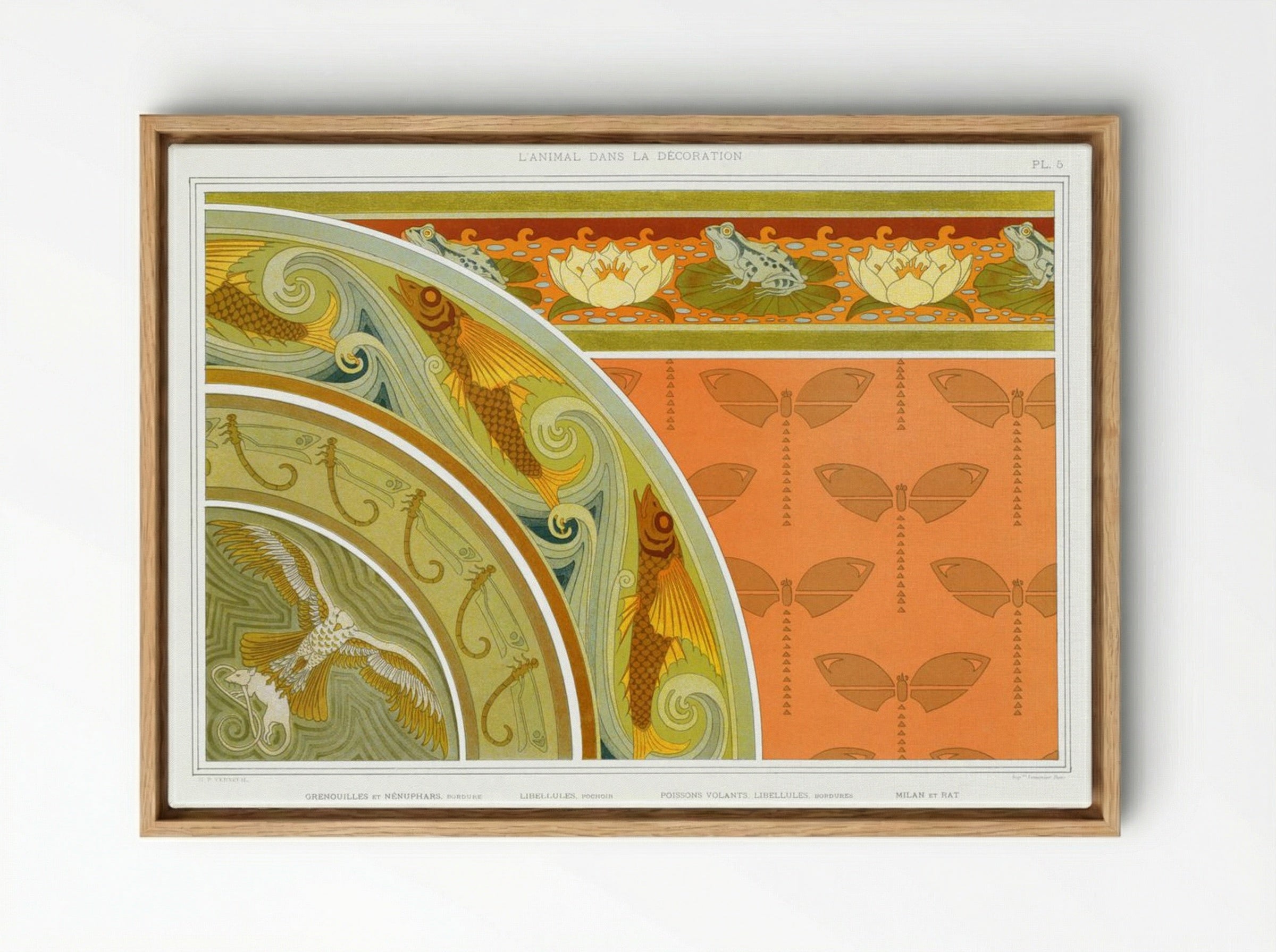 L'Animal dans la Décoration, Plate 5 - Maurice Pillard Verneuil - Framed Canvas Wood