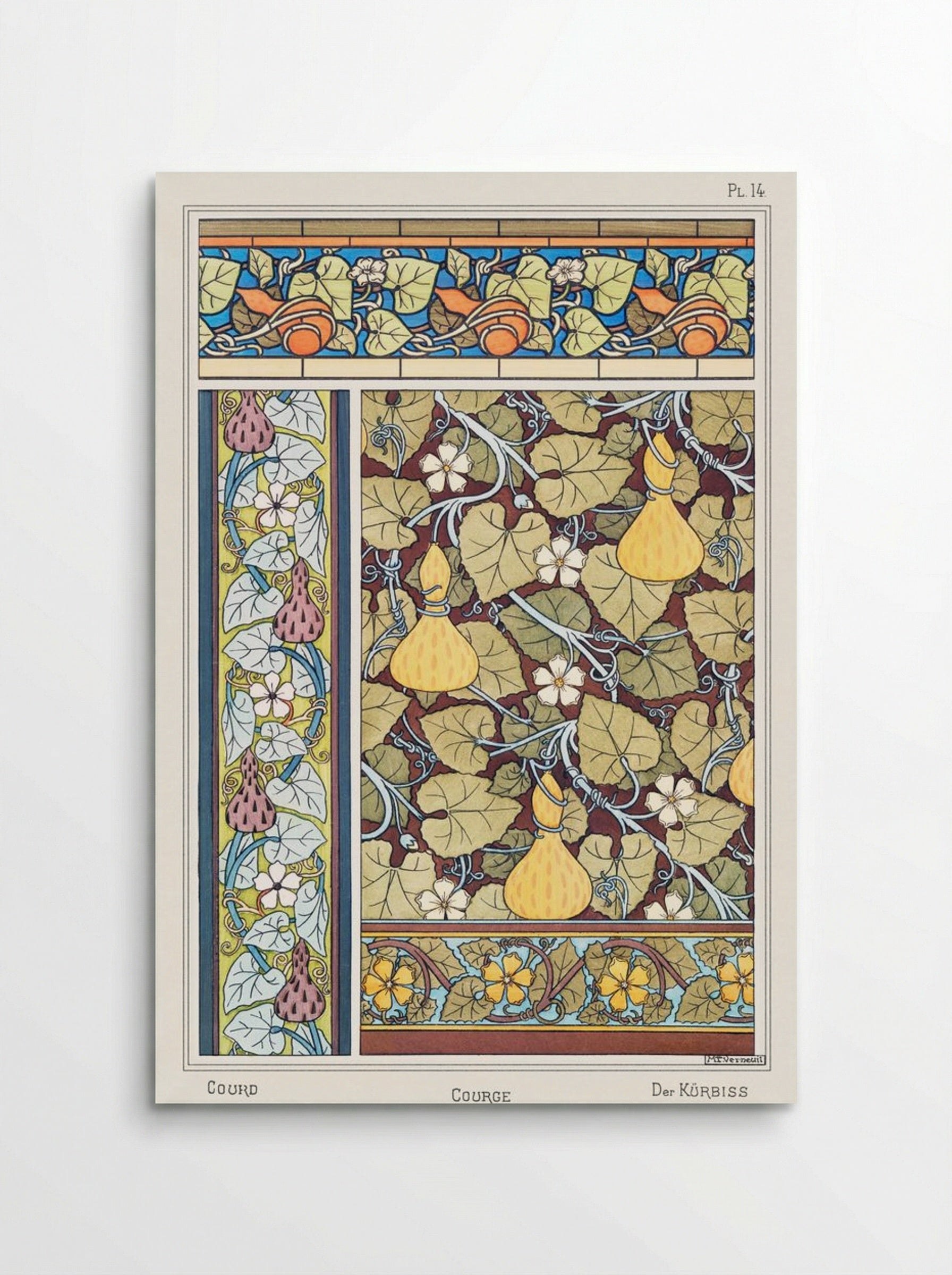 Courge (White-Flowered Gourd, from La Plante et ses Applications ornementales) - Maurice Pillard Verneuil - Poster